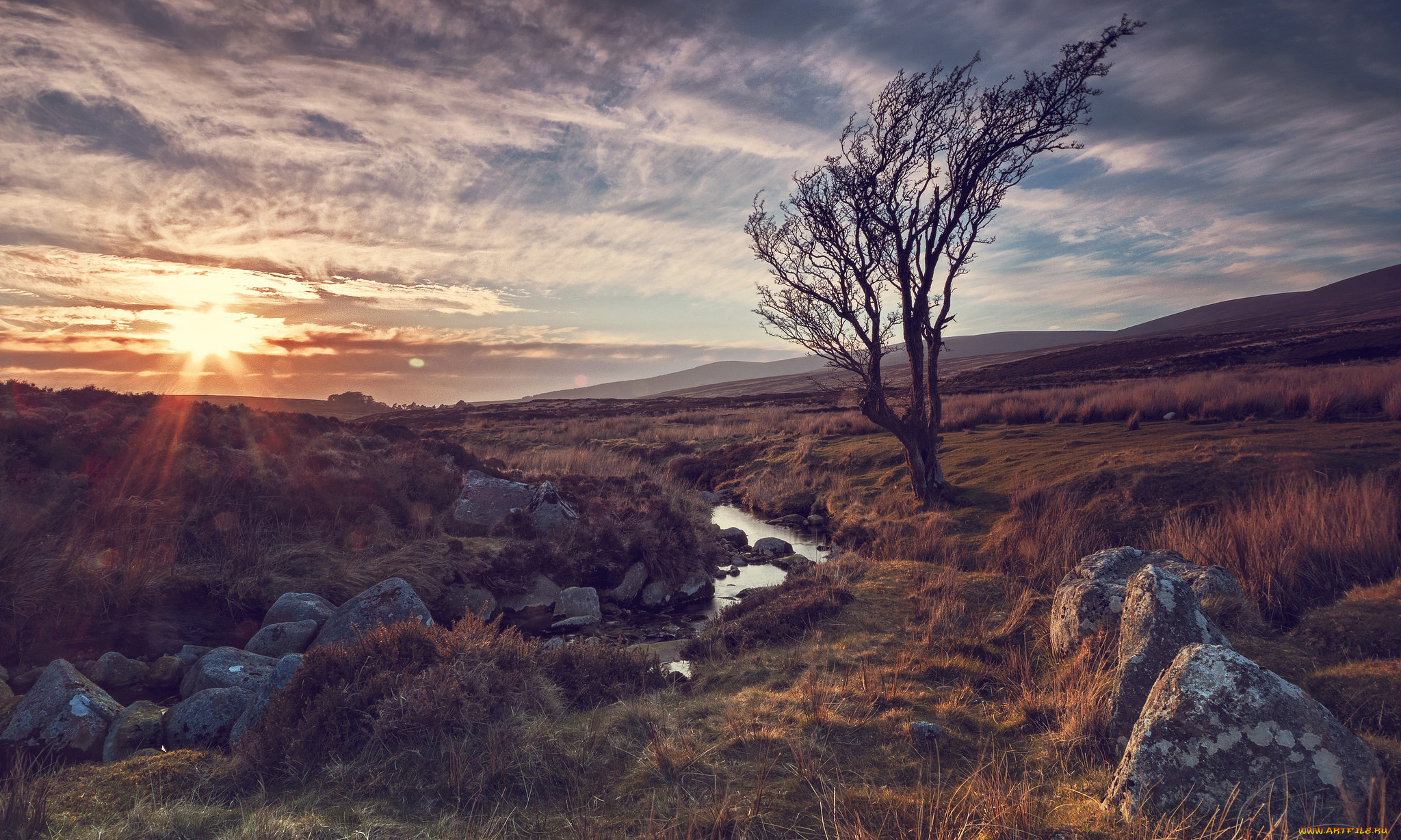 природа, восходы, закаты, лучи, солнце, камни, река, дерево