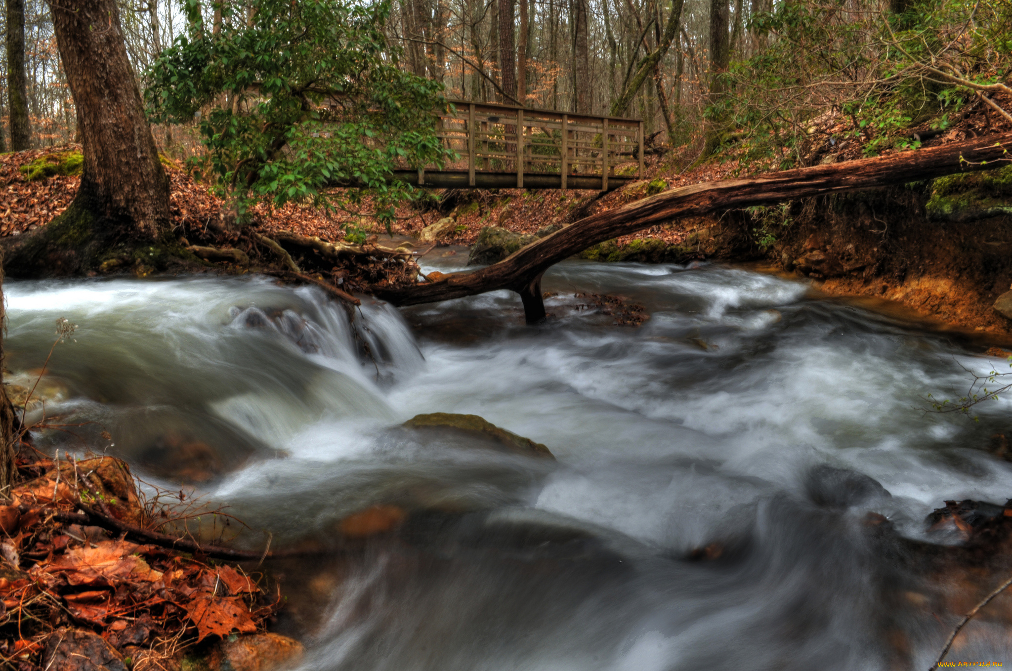 природа, реки, озера, лес, водопад, река