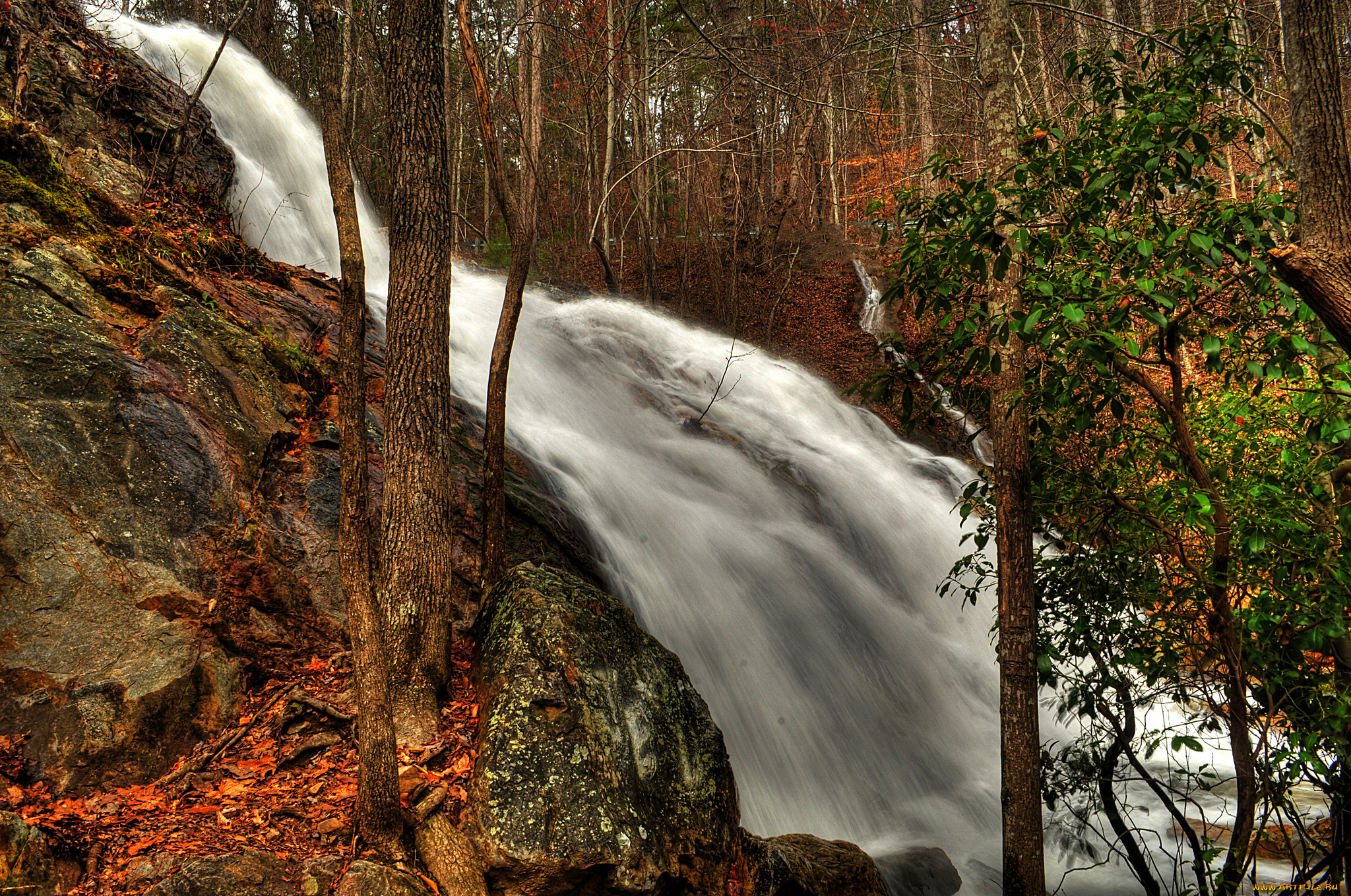 природа, водопады, лес, водопад, река