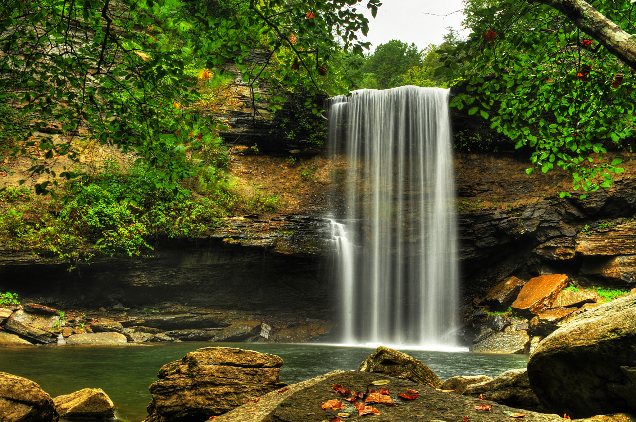 природа, водопады, водопад, лес, река