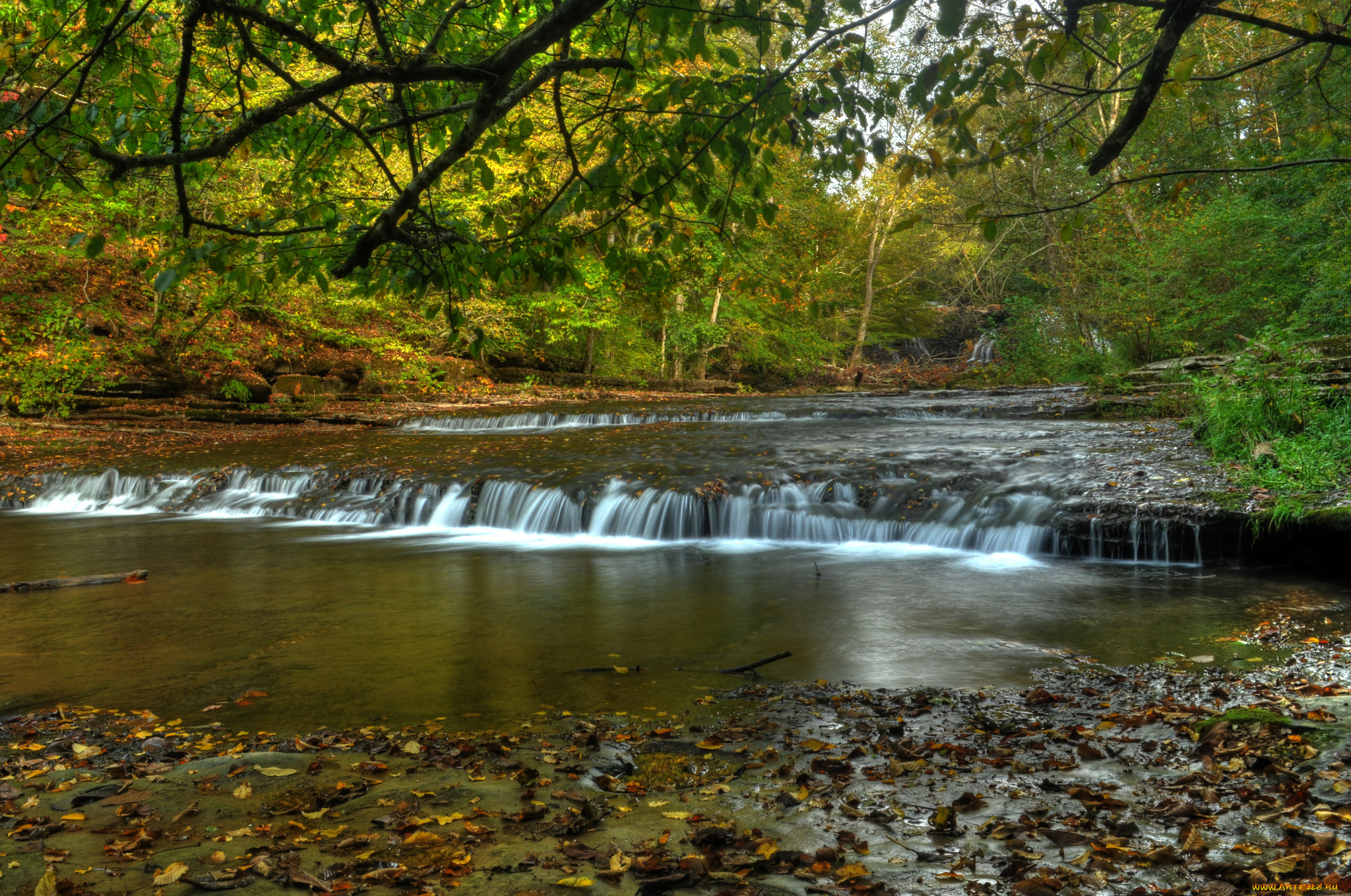 природа, водопады, водопад, река, лес