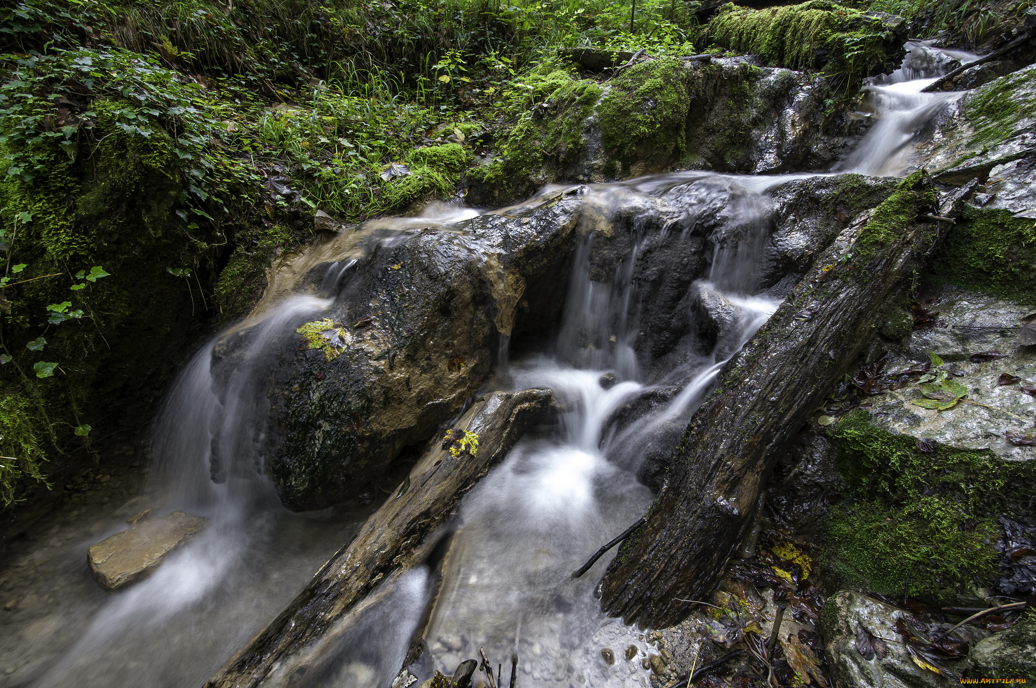 природа, водопады, водопад, река, лес