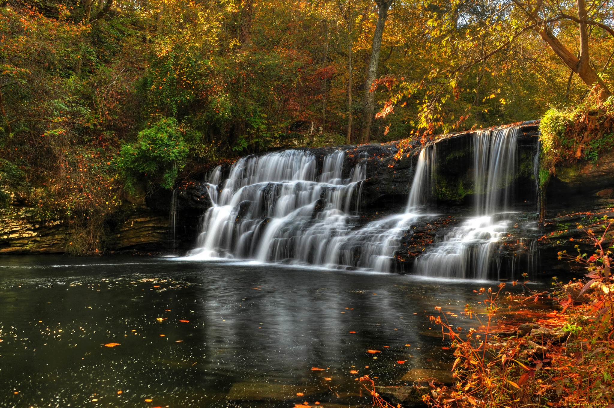 природа, водопады, лес, водопад, река