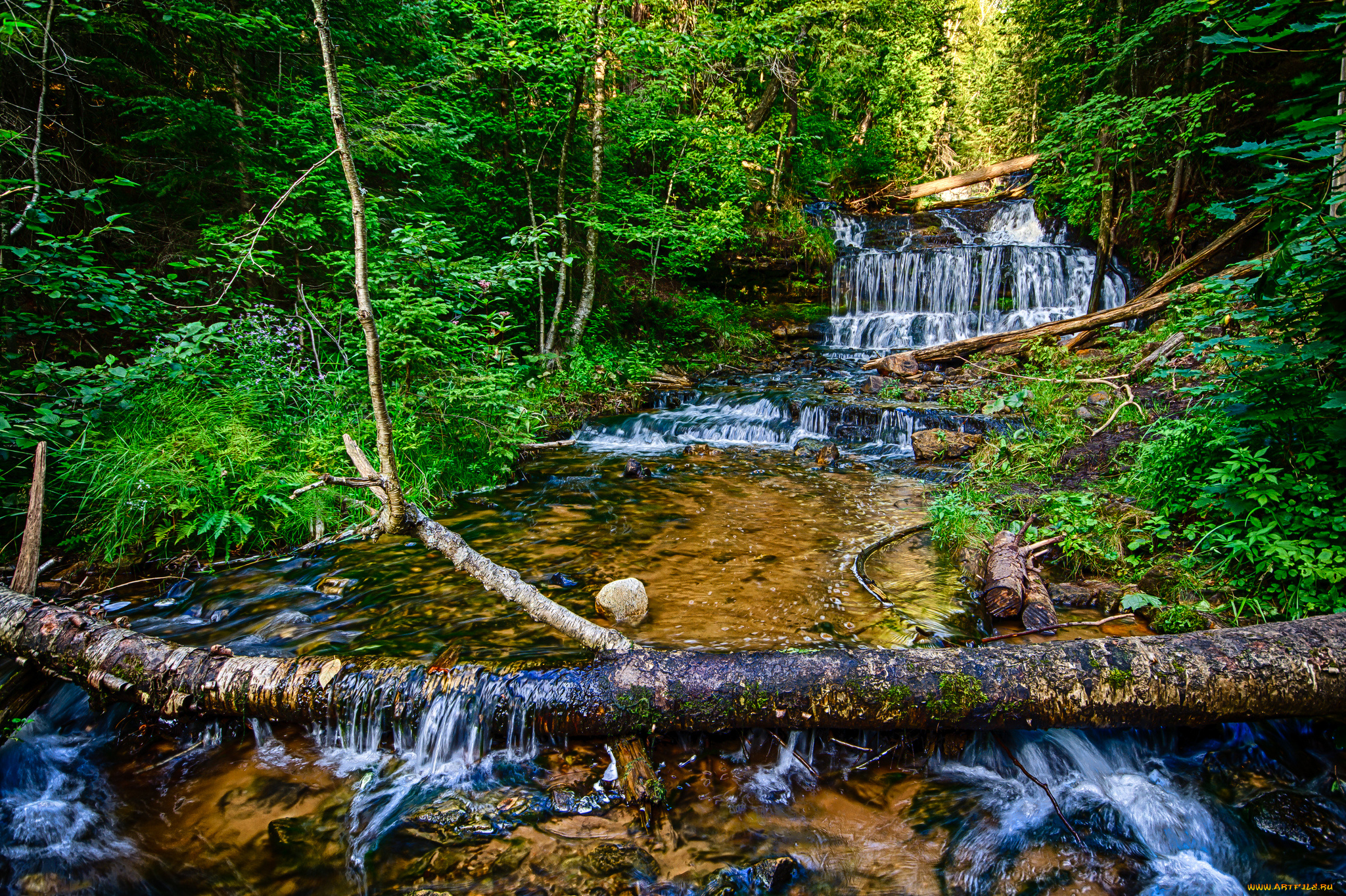 природа, водопады, лес, река, водопад