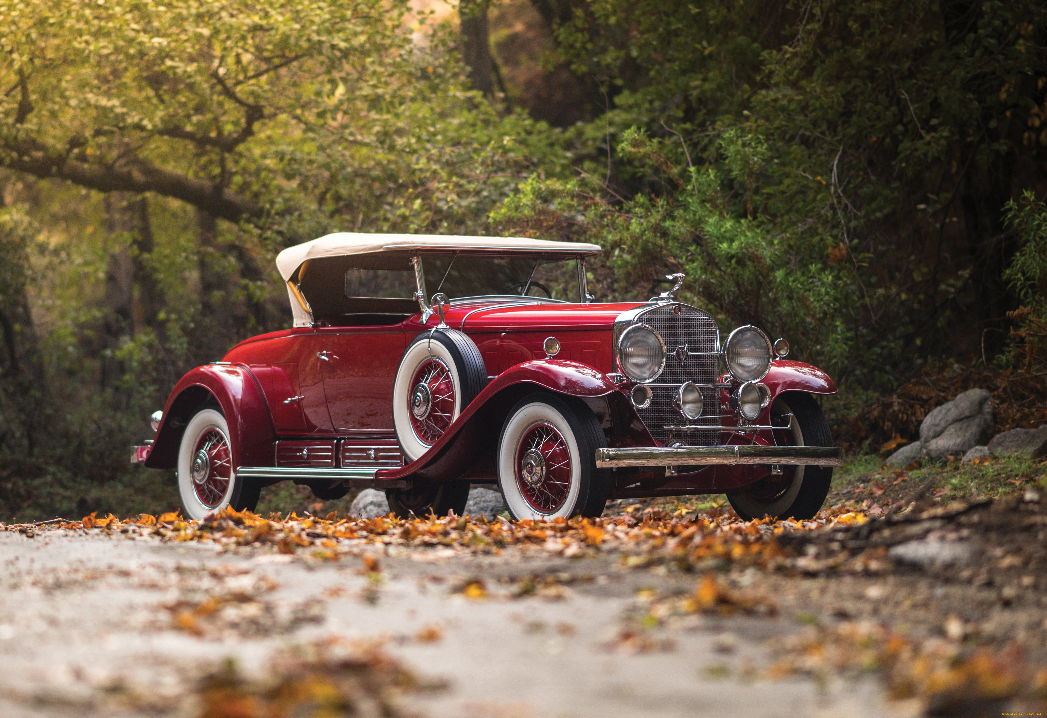 автомобили, классика, cadillac