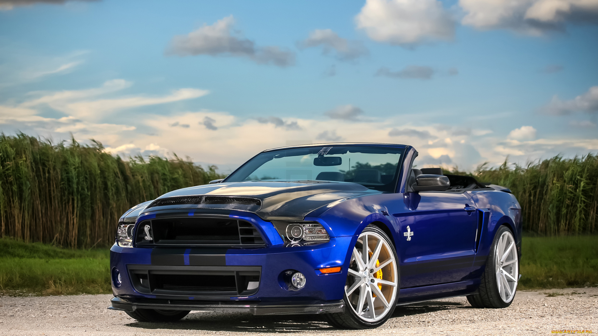 автомобили, mustang