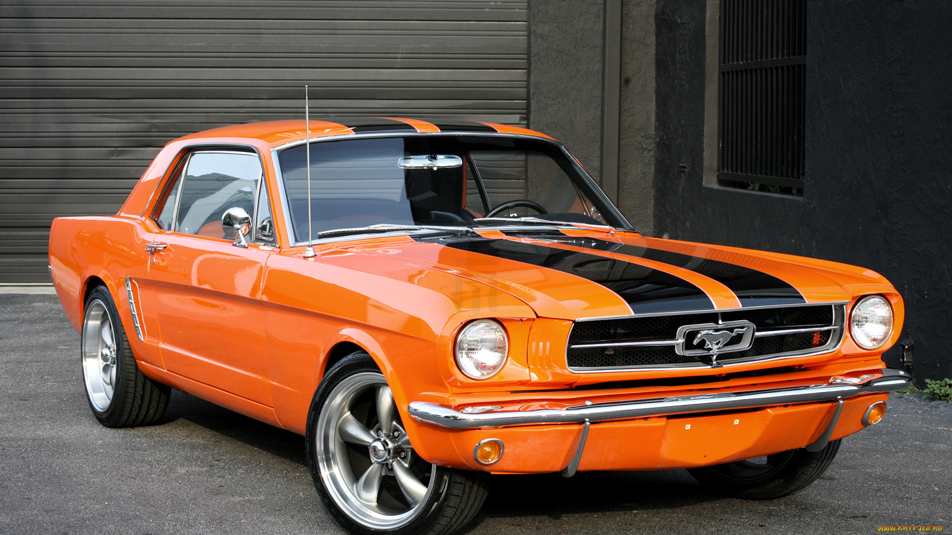 автомобили, mustang