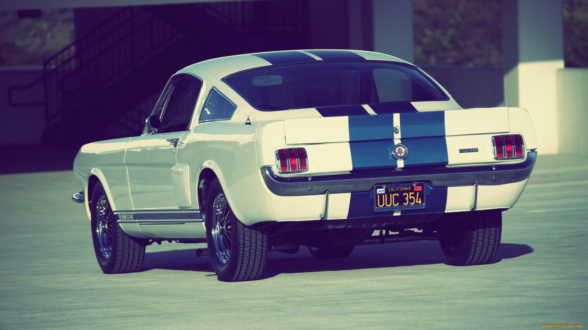 автомобили, mustang