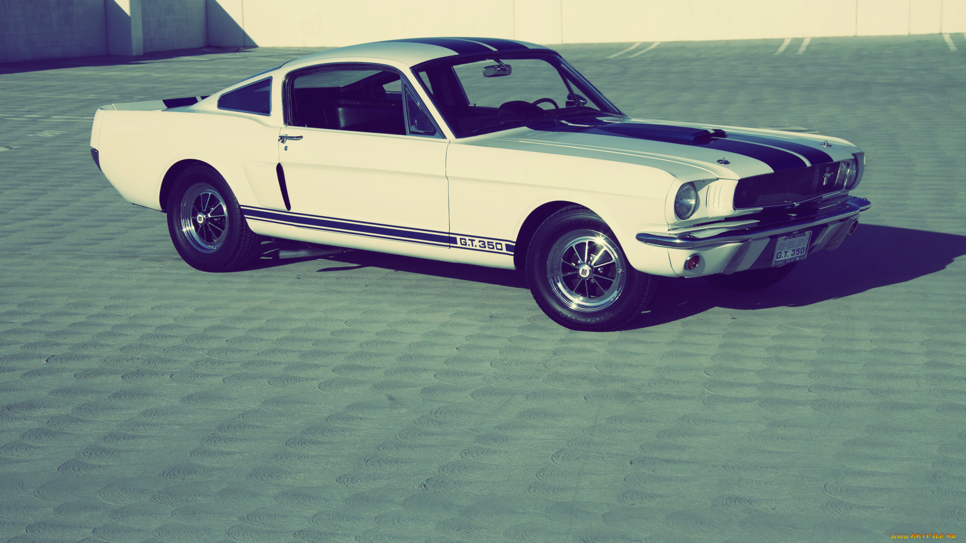 автомобили, mustang