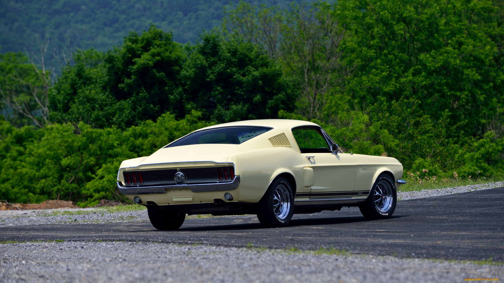 автомобили, mustang