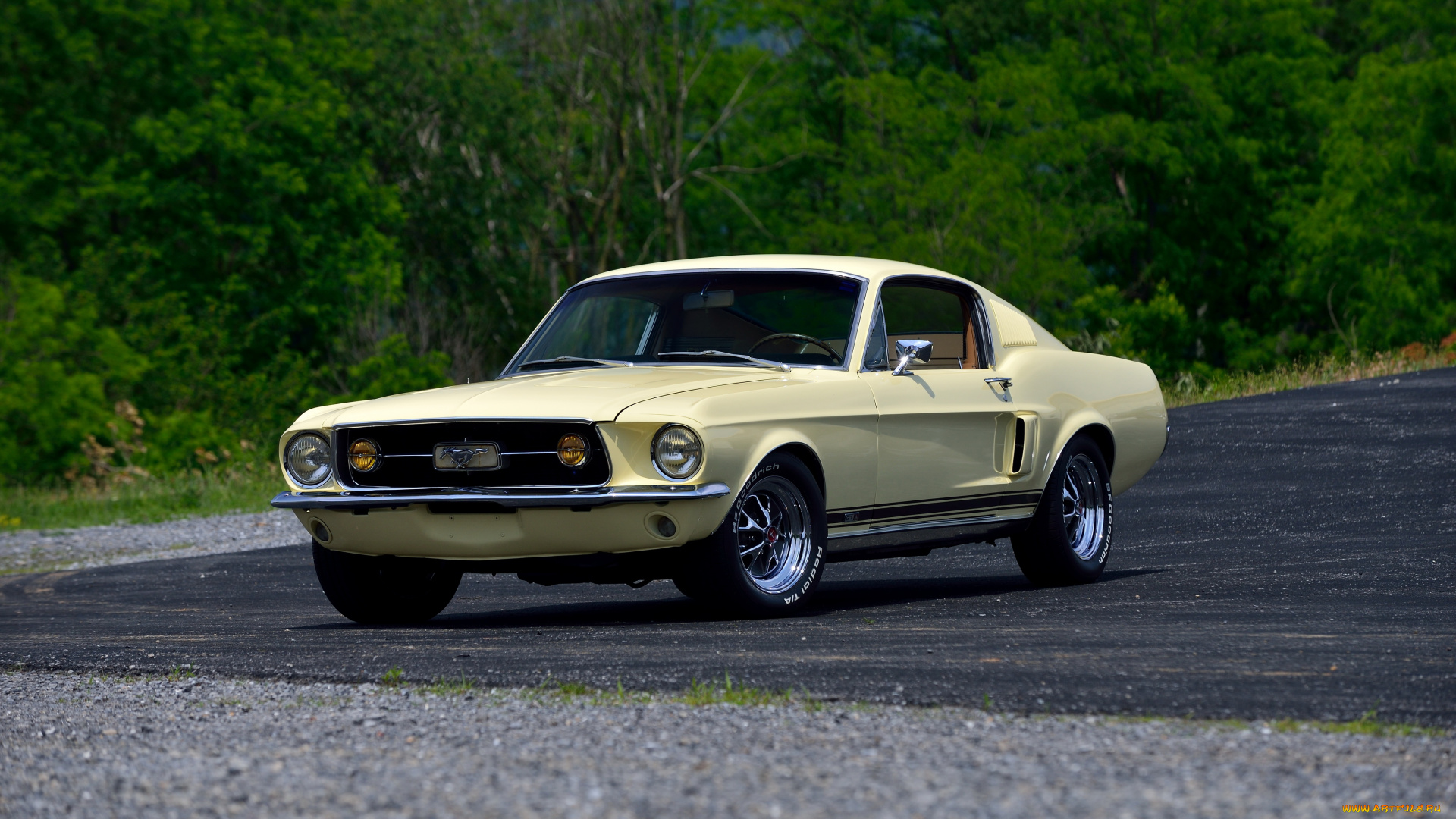 автомобили, mustang