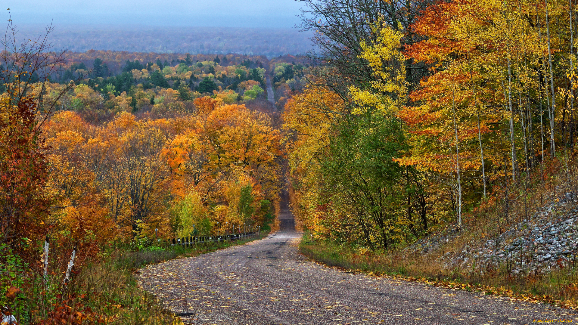 природа, дороги, лес, осень, шоссе