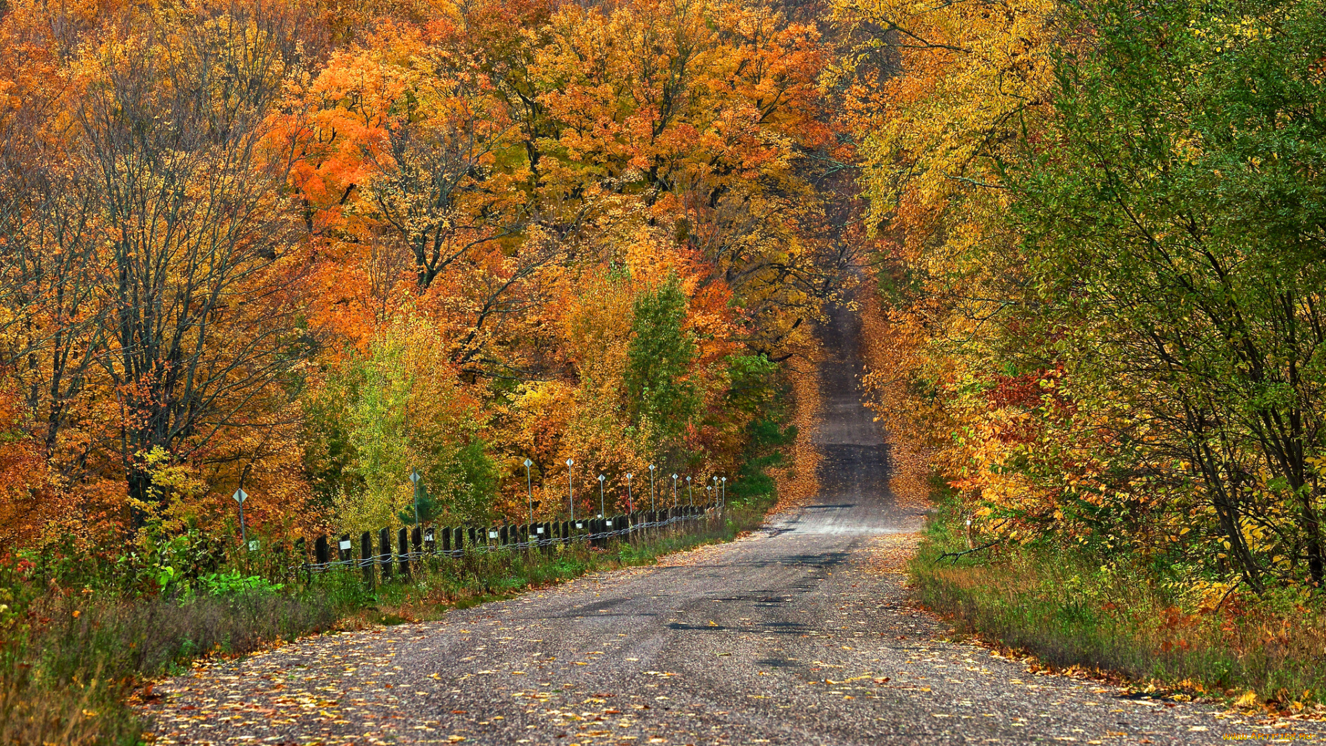 природа, дороги, осень, шоссе, лес