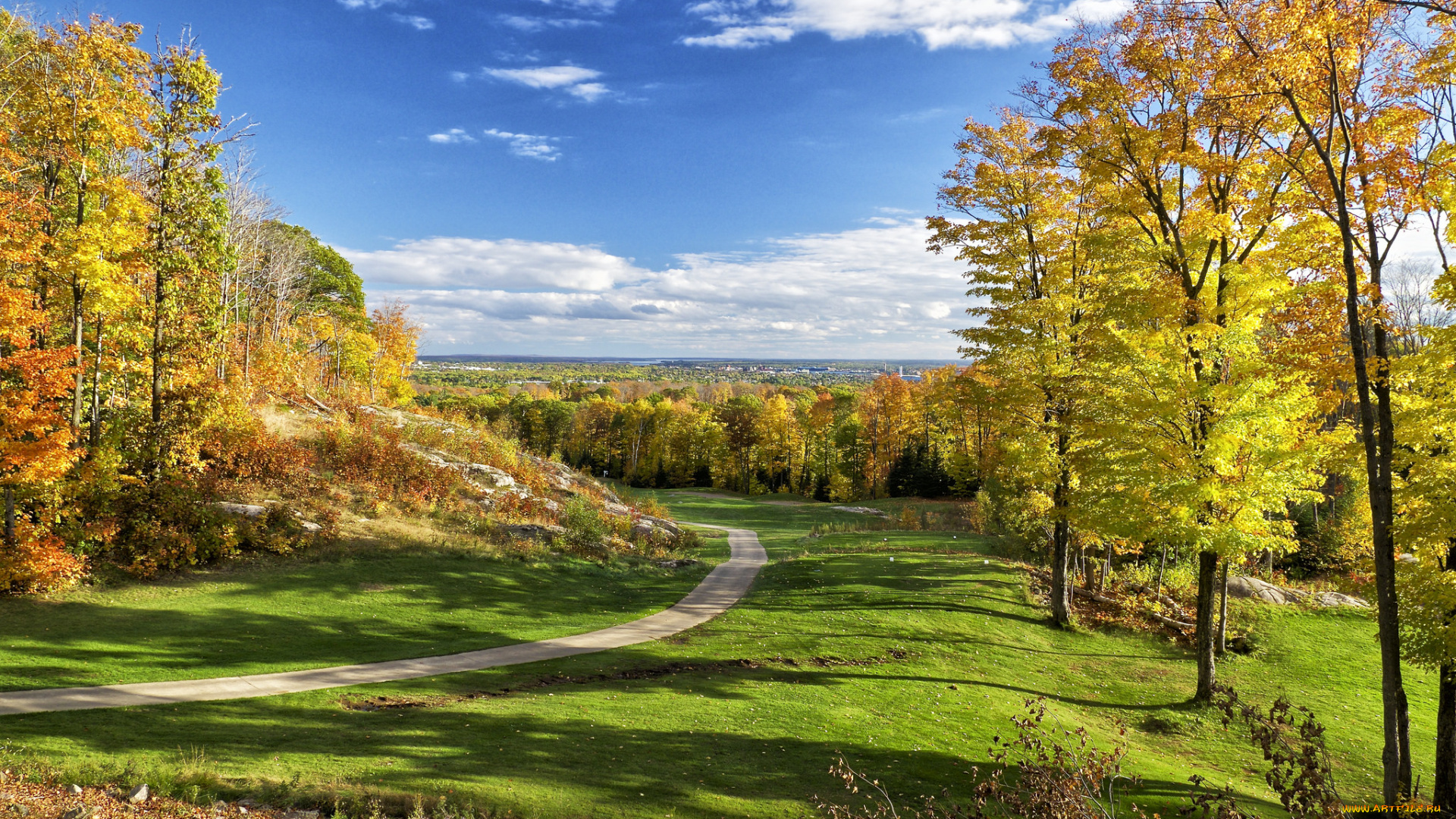 природа, дороги, осень, тропинка, лес