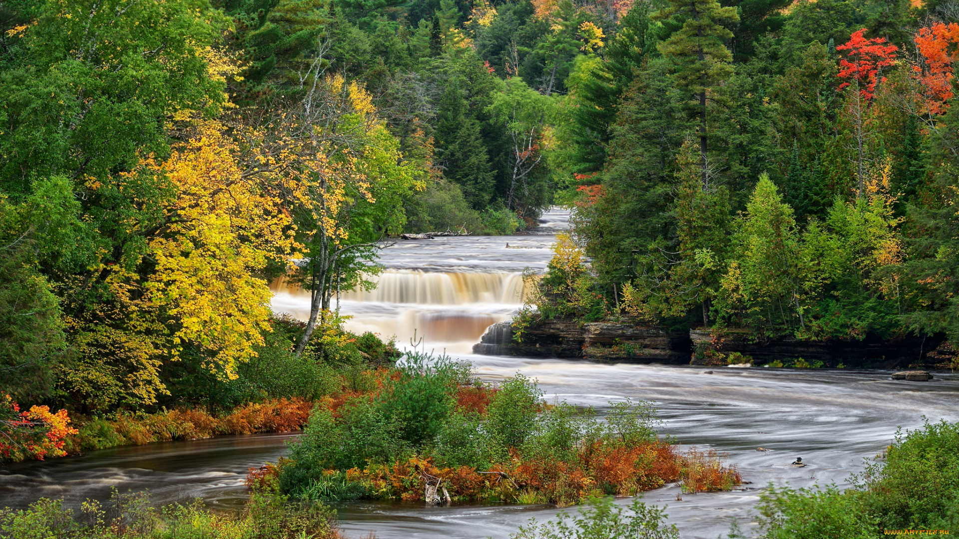природа, реки, озера, река, лес