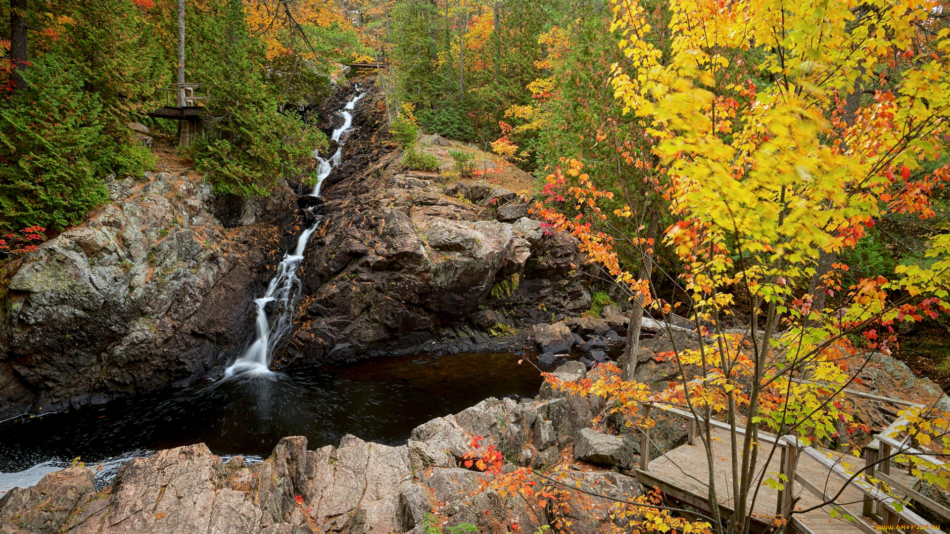 природа, реки, озера, ручей, лес, осень