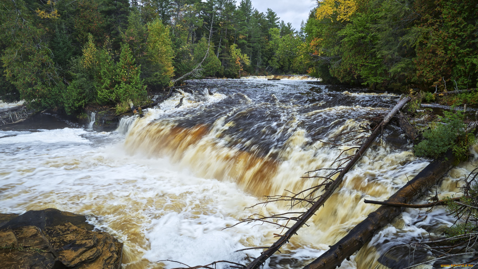 природа, водопады, лес, река, водопад