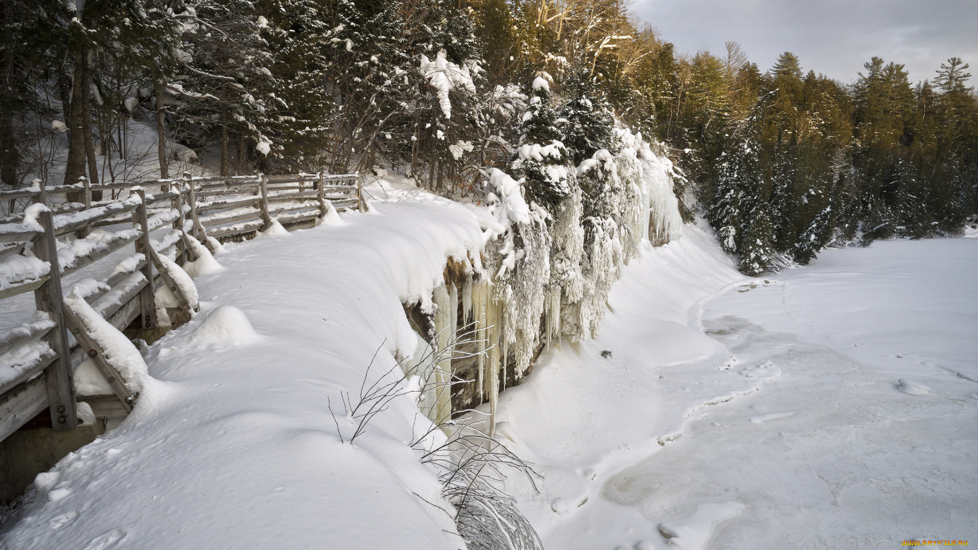 природа, зима, лес, снег, поле