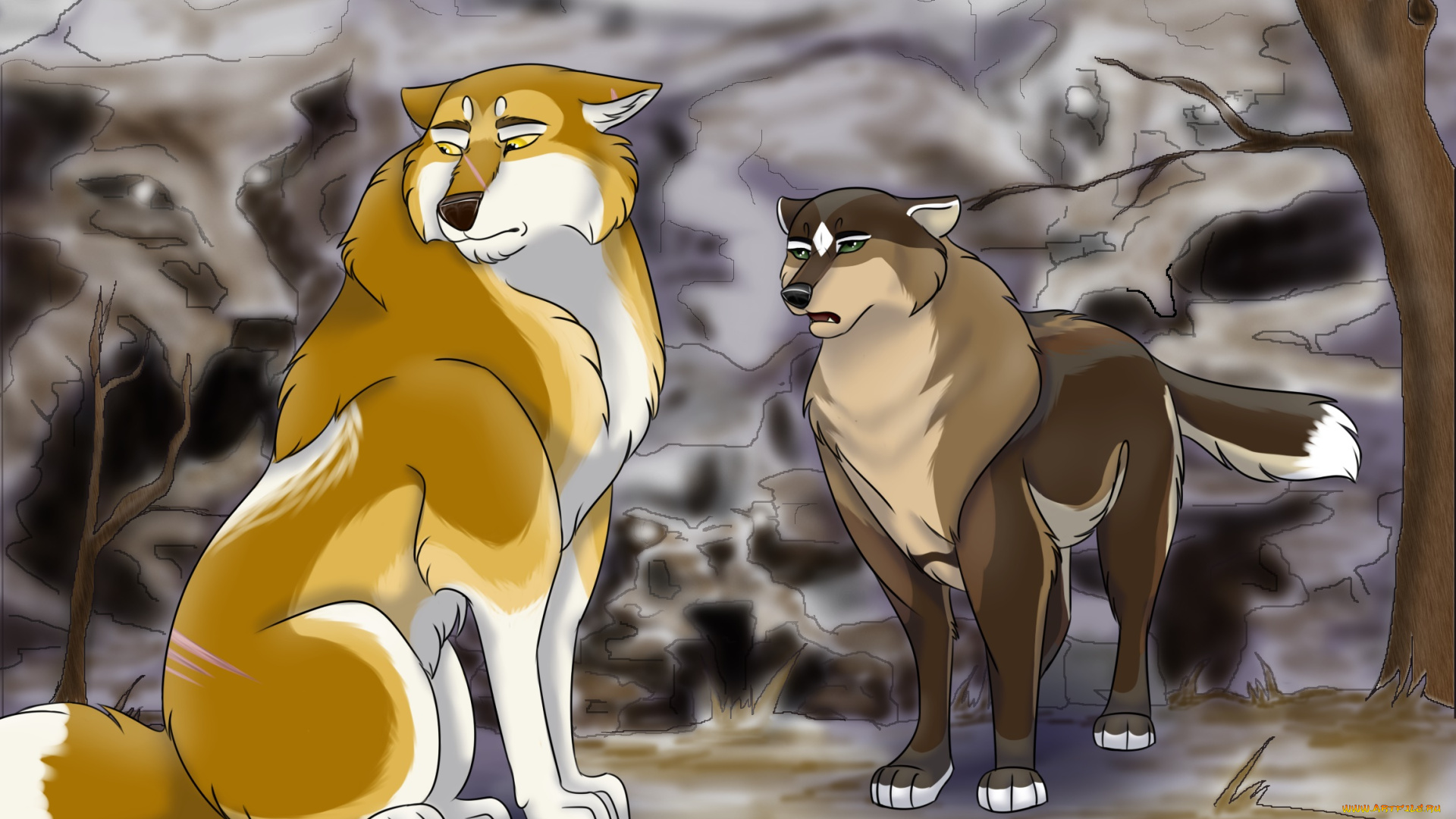 рисованное, животные, , собаки, взгляд, собаки, фон