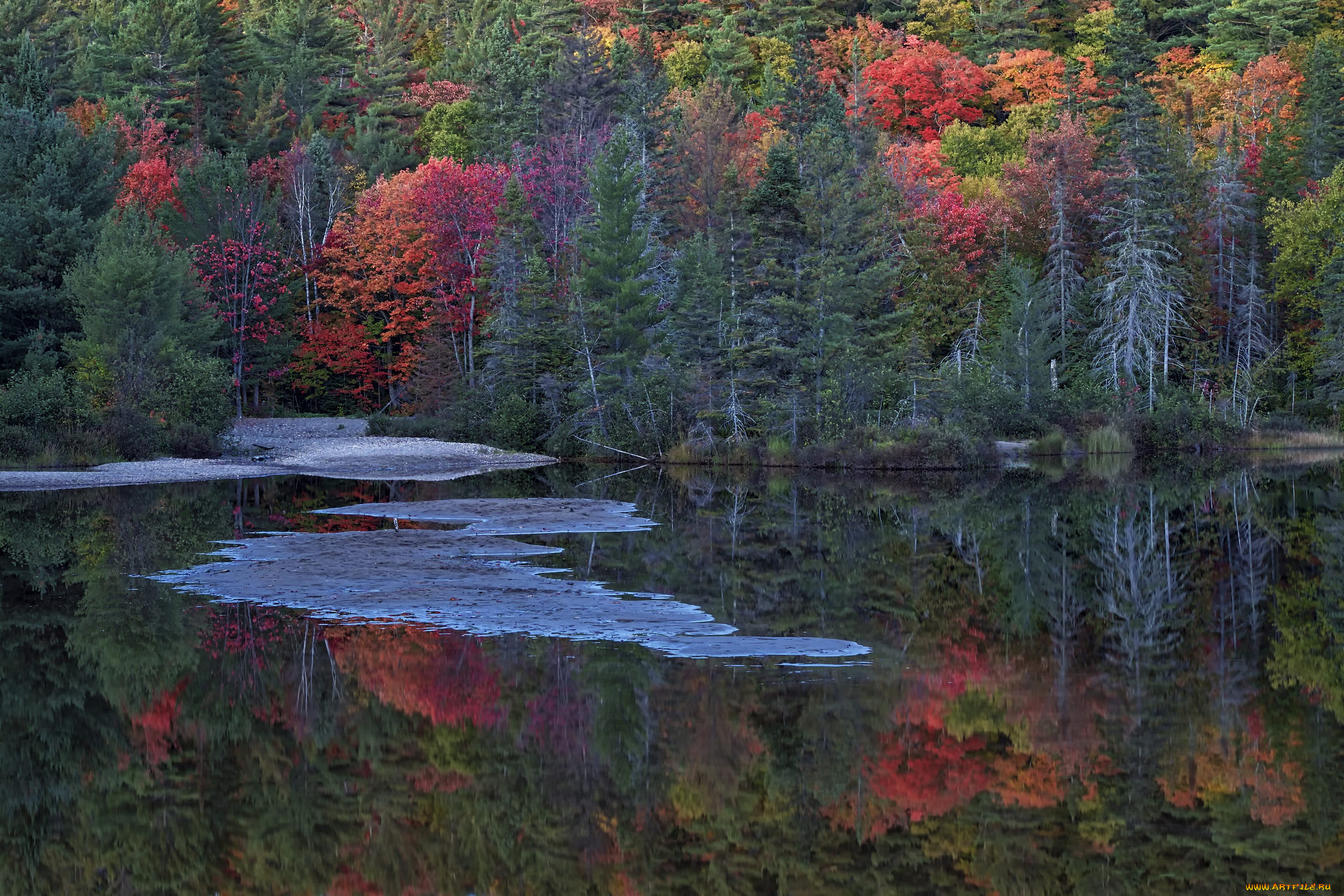 природа, реки, озера, лес, река