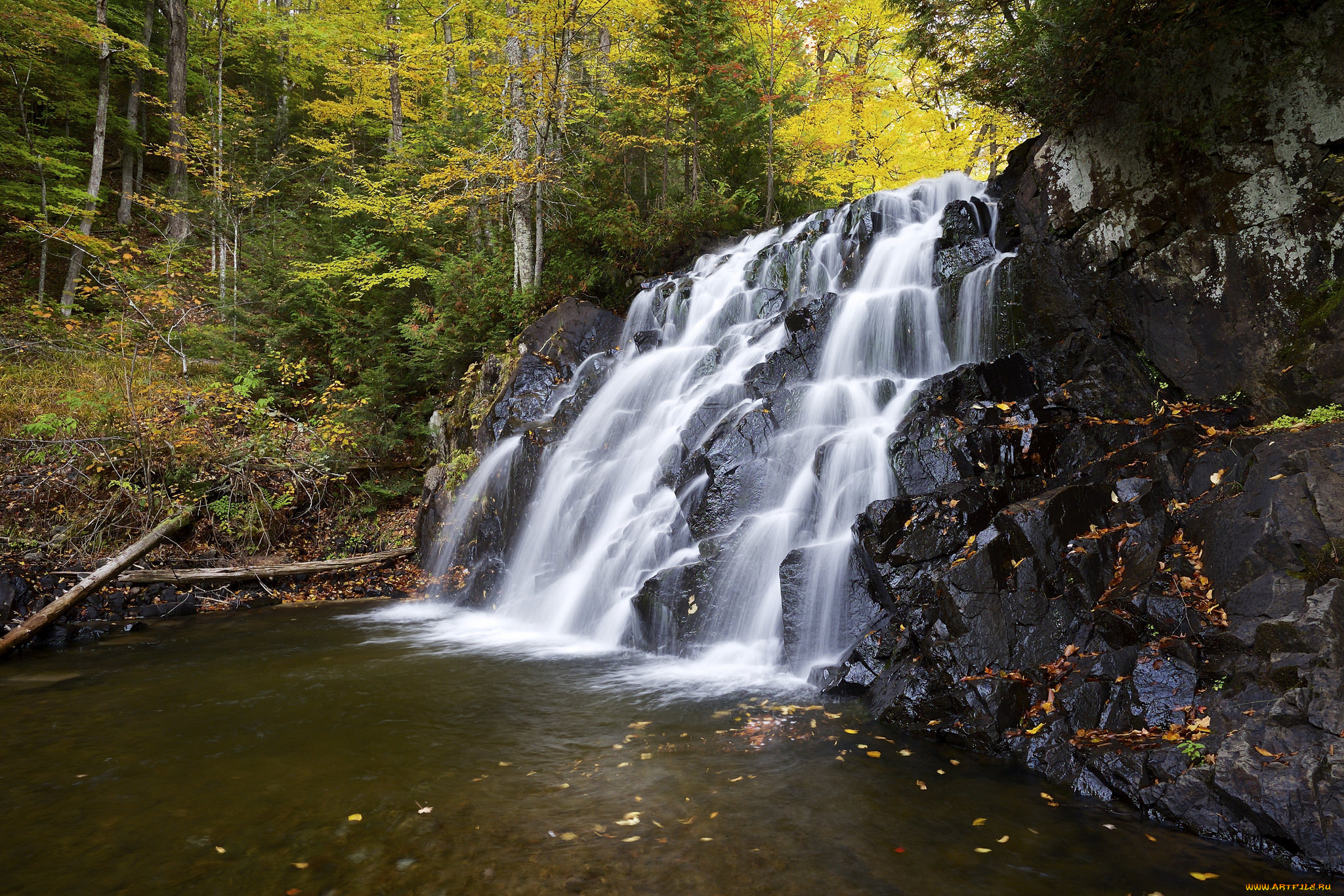 природа, вода, лес, река, водопад