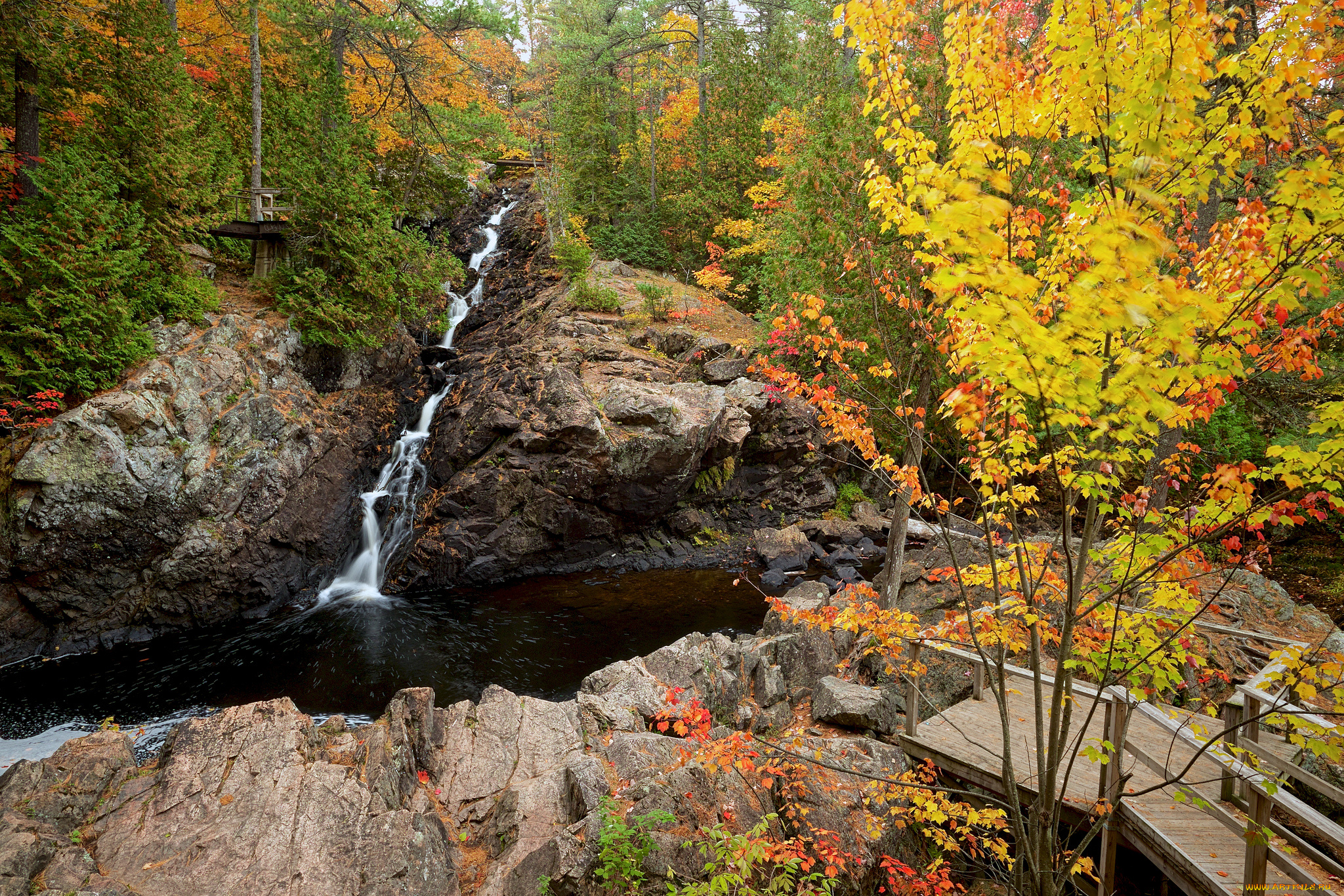 природа, реки, озера, ручей, лес, осень