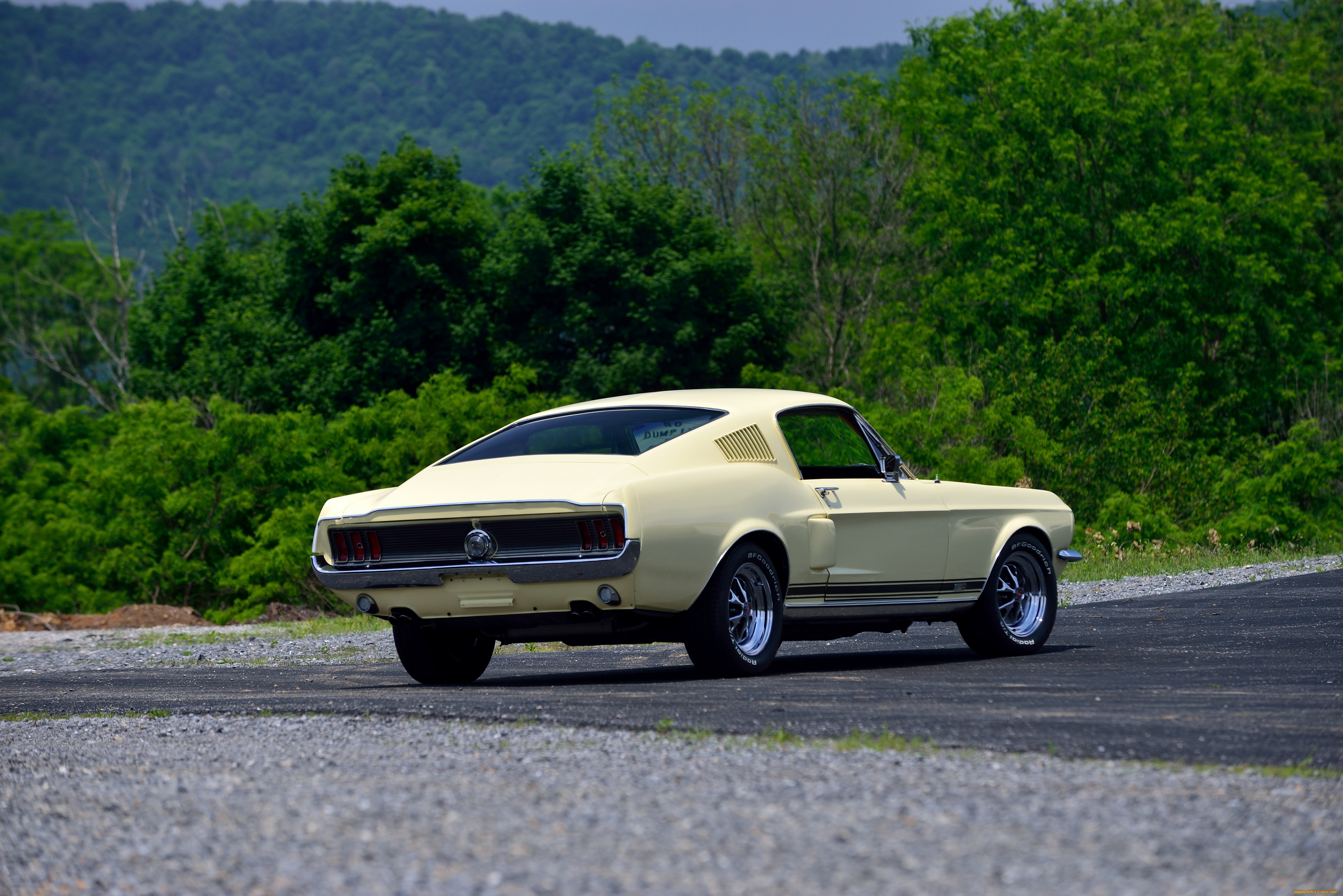 автомобили, mustang