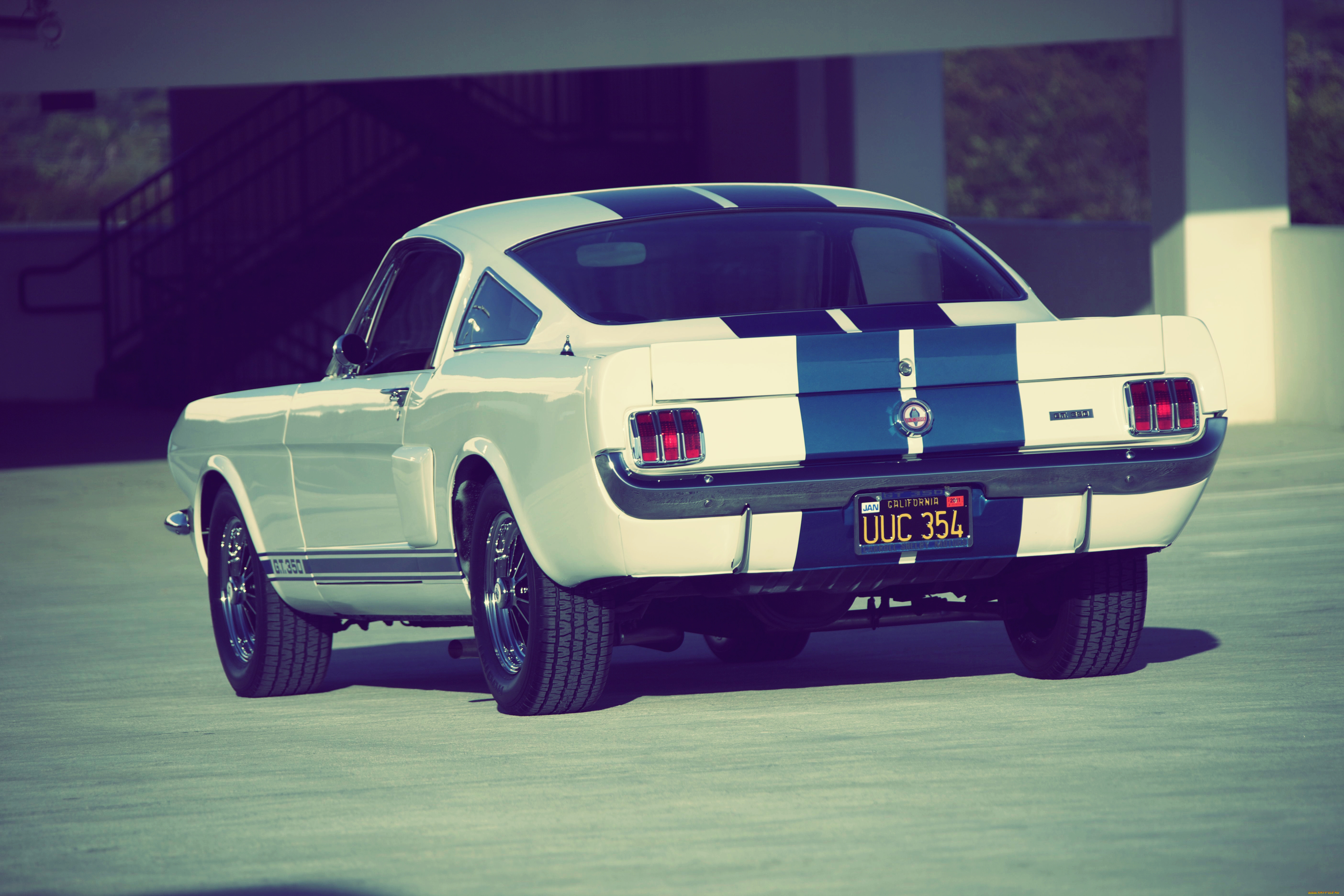 автомобили, mustang