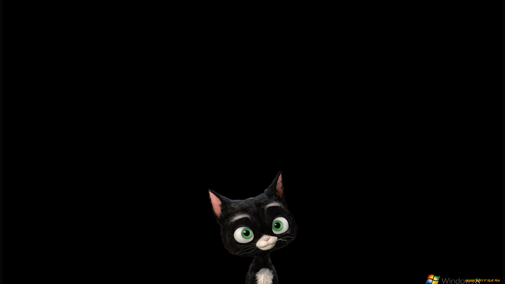 компьютеры, windows, 8, черный, котенок