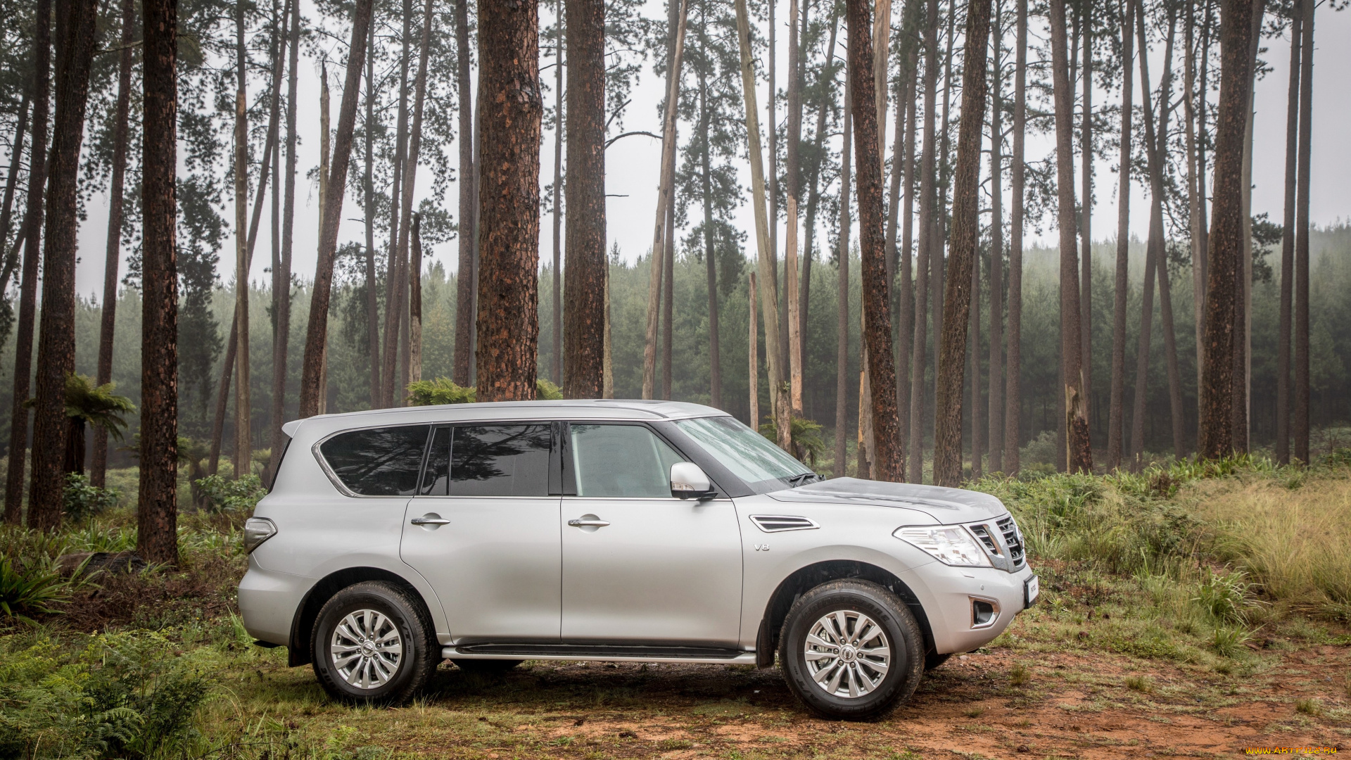 автомобили, nissan, datsun