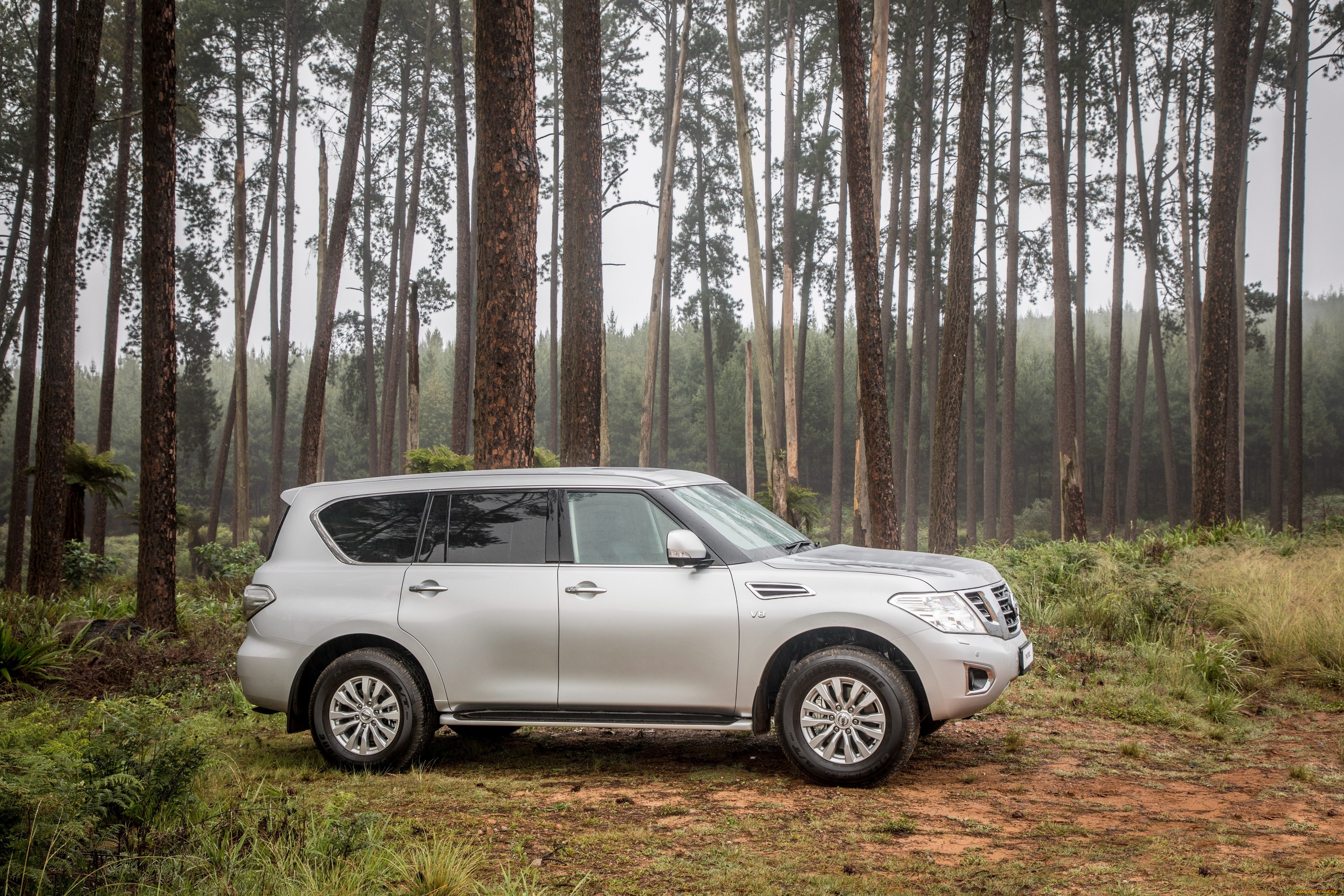 автомобили, nissan, datsun