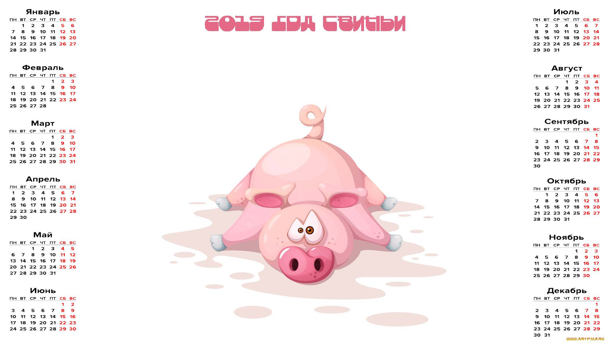 календари, праздники, , салюты, свинья, поросенок, лужа, грязь