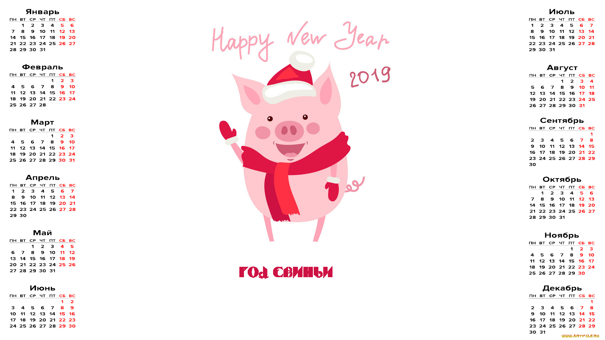 календари, праздники, , салюты, свинья, шарф, шапка, поросенок