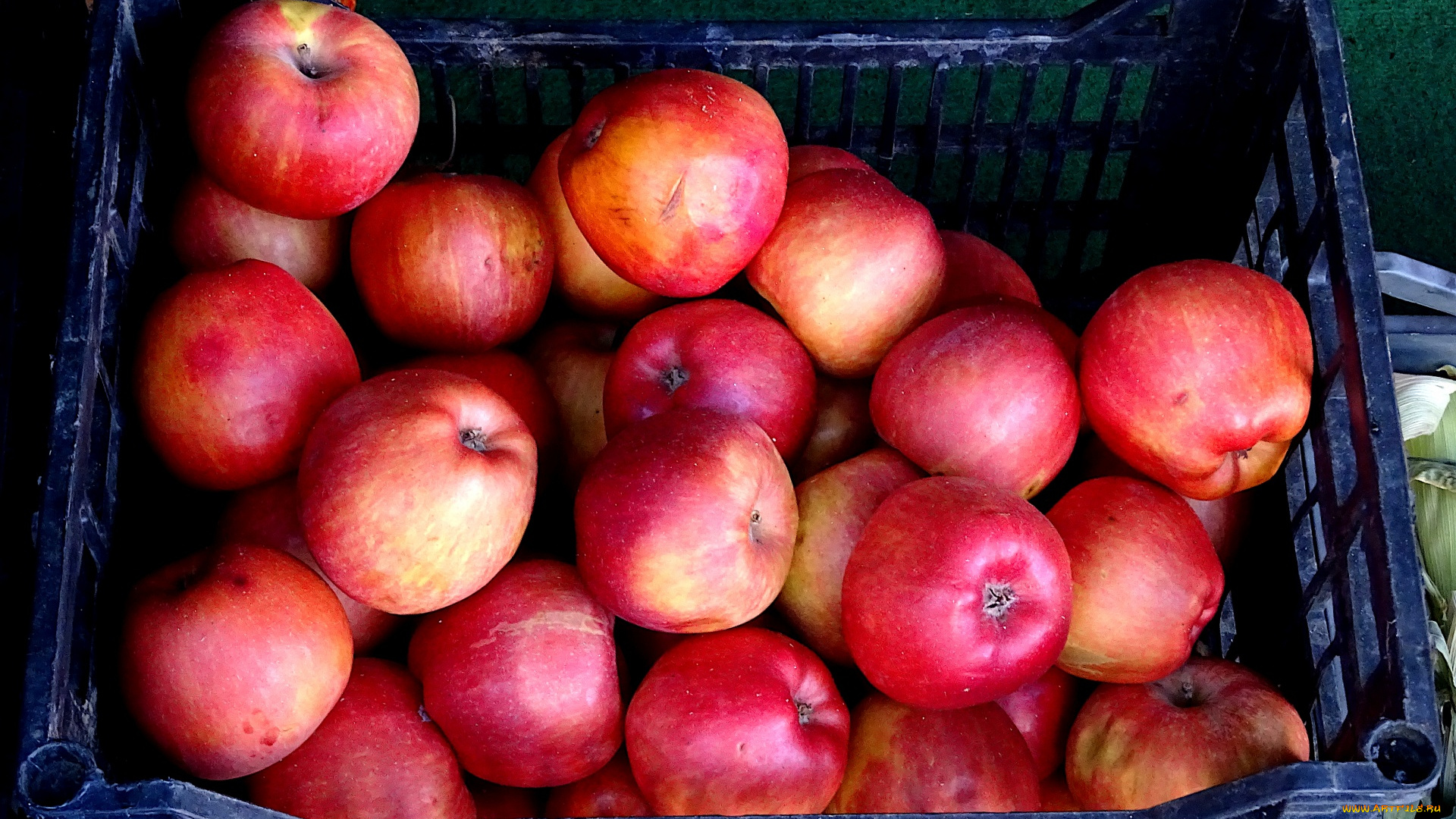 еда, яблоки