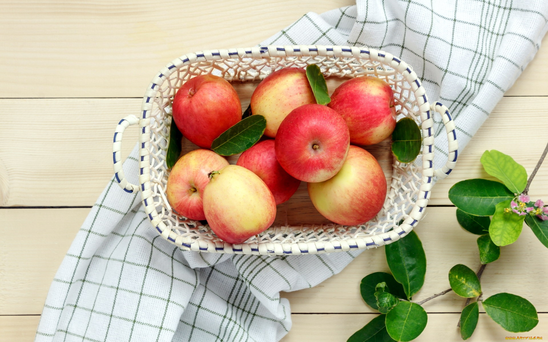 еда, яблоки