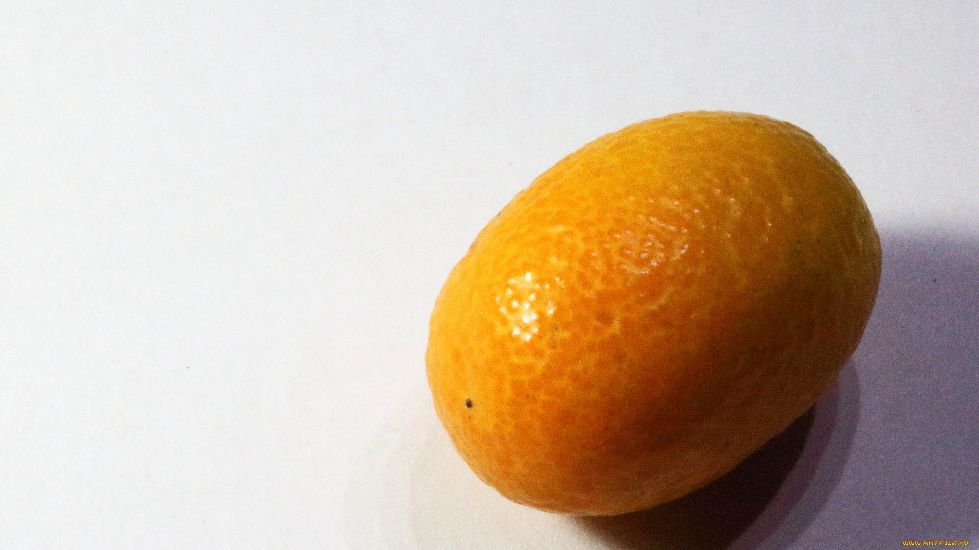 еда, цитрусы, экзотический, фрукт, кумкват