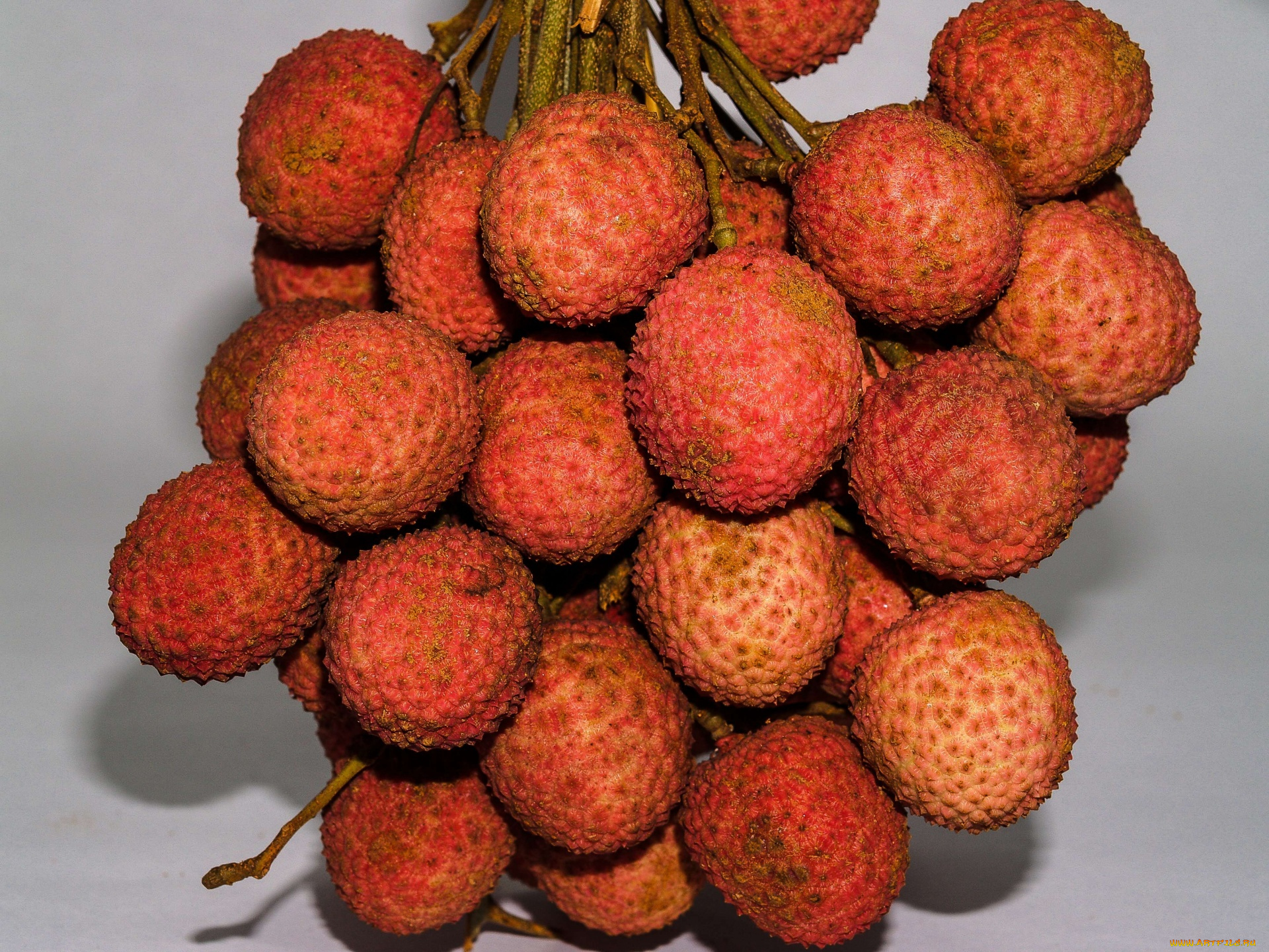 еда, личи, экзотический, фрукт