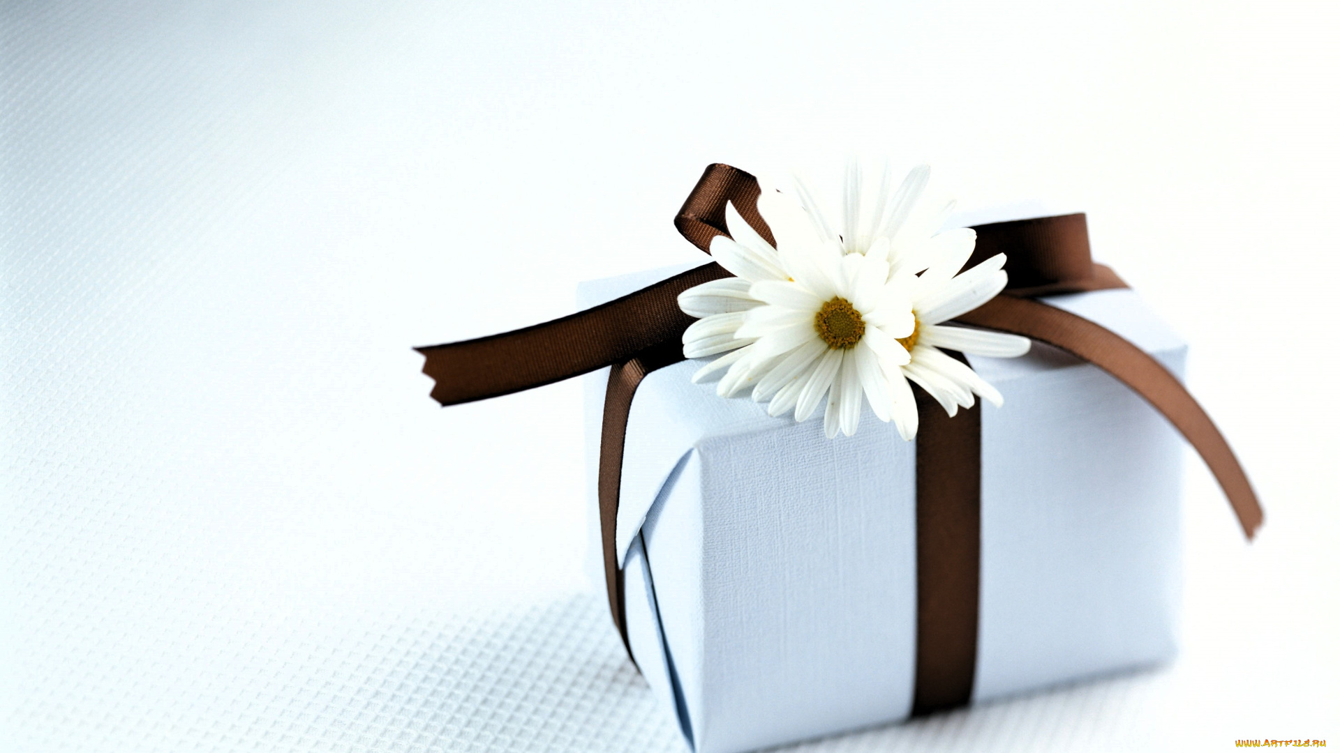 праздничные, подарки, и, коробочки, подарок, коробка, ромашки