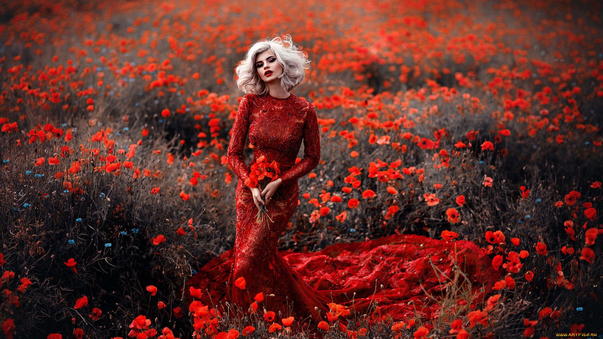 девушки, -, блондинки, , светловолосые, девушка