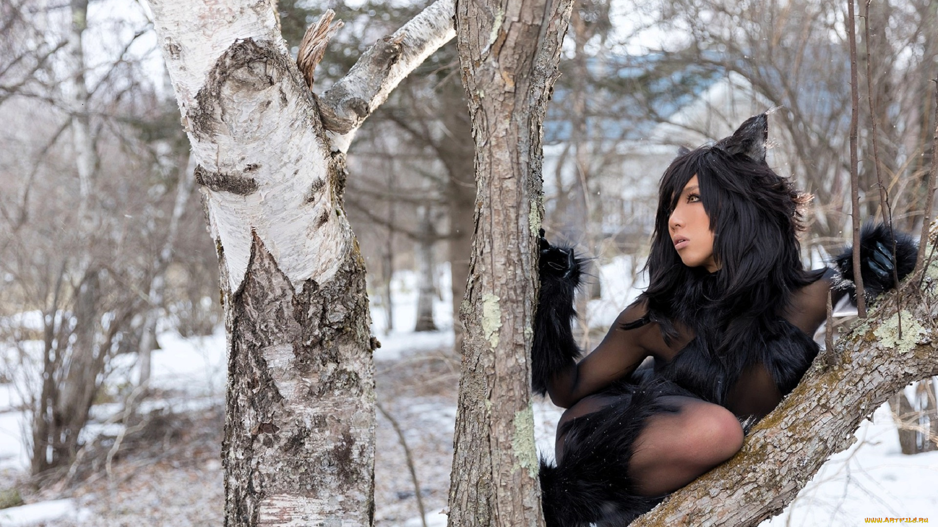 девушки, nonsummerjack, образ, косплей, наряд, костюм, мех, ушки, хвост, деревья, лес, зима, снег