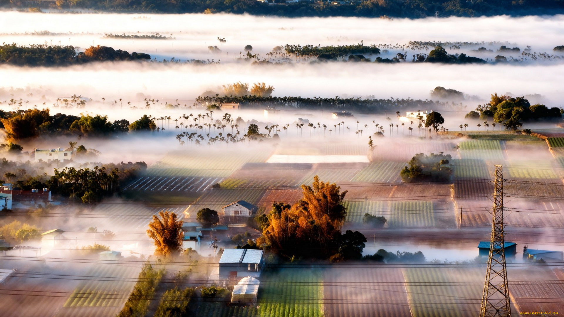 города, -, панорамы, пейзаж, туман