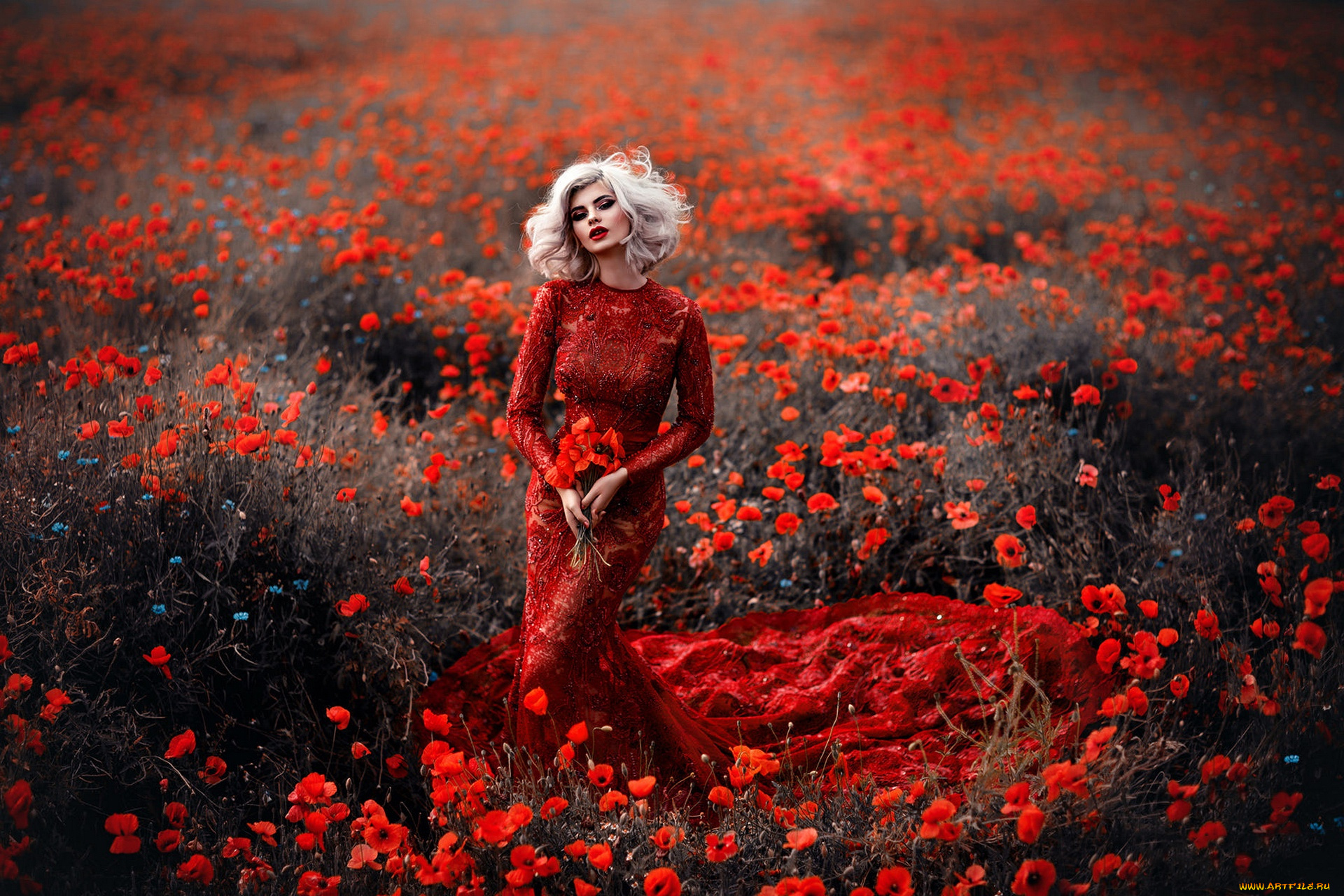 девушки, -, блондинки, , светловолосые, девушка