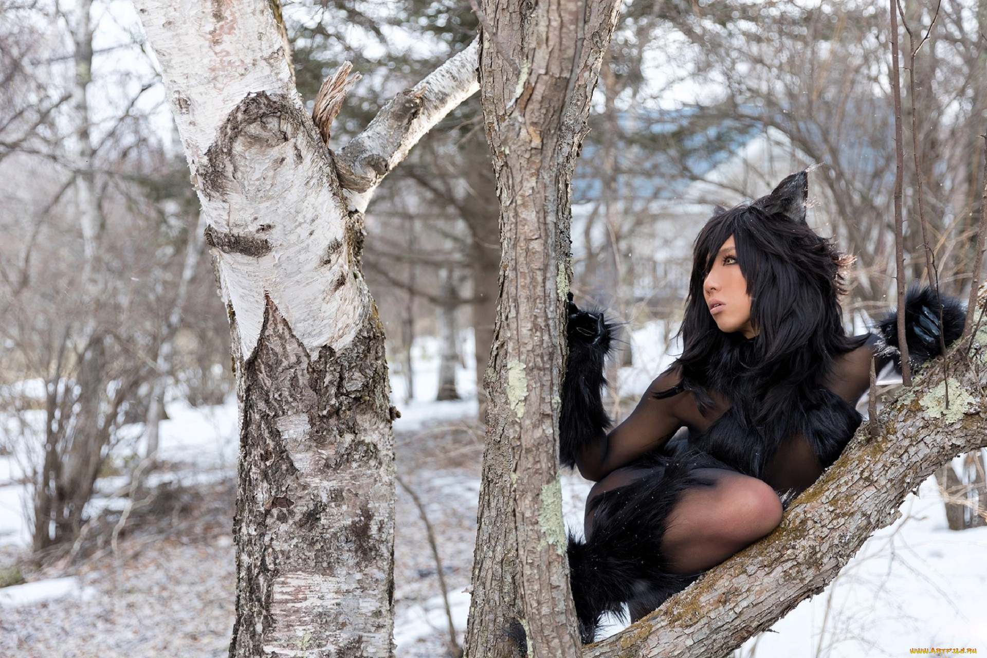 девушки, nonsummerjack, образ, косплей, наряд, костюм, мех, ушки, хвост, деревья, лес, зима, снег