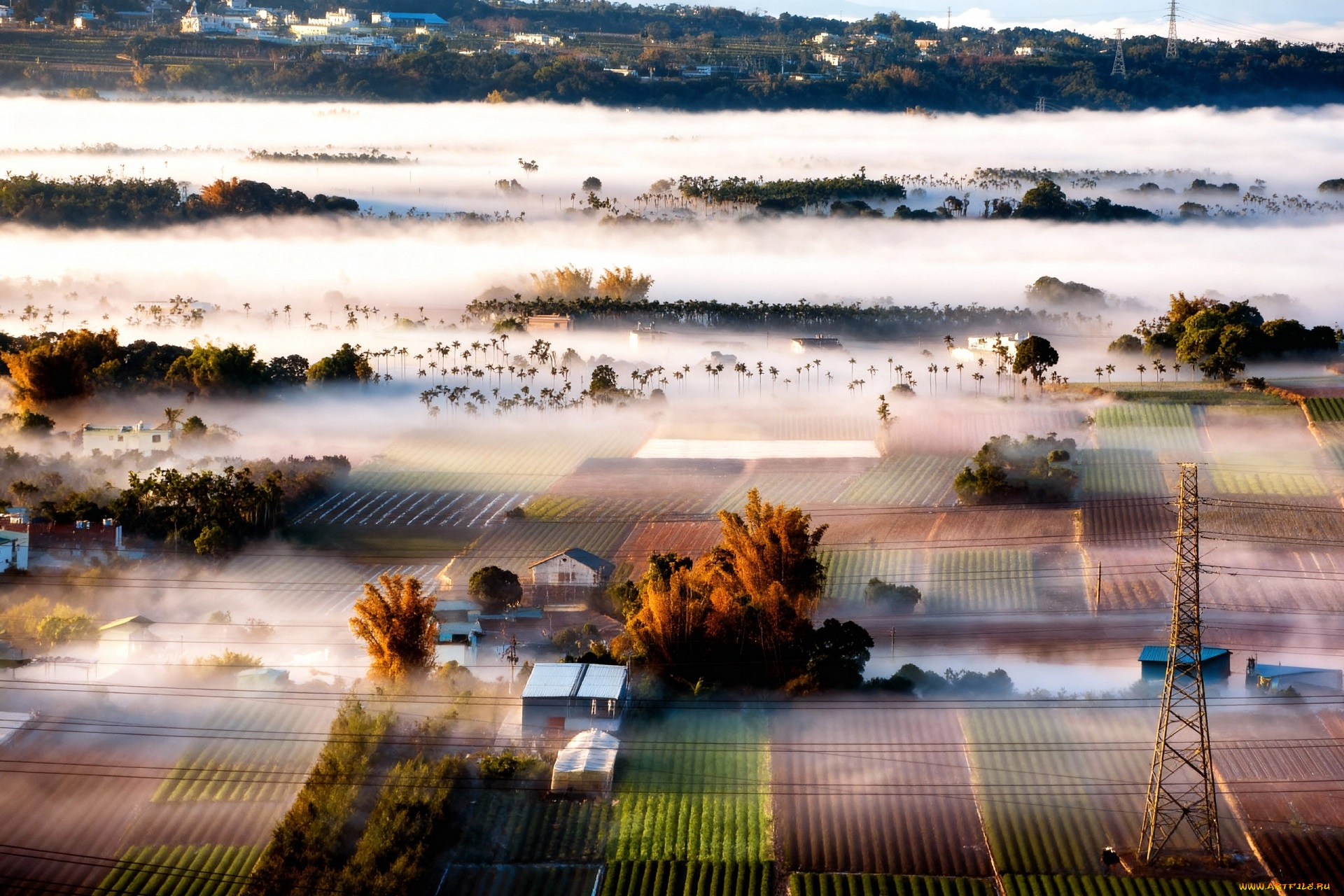 города, -, панорамы, пейзаж, туман