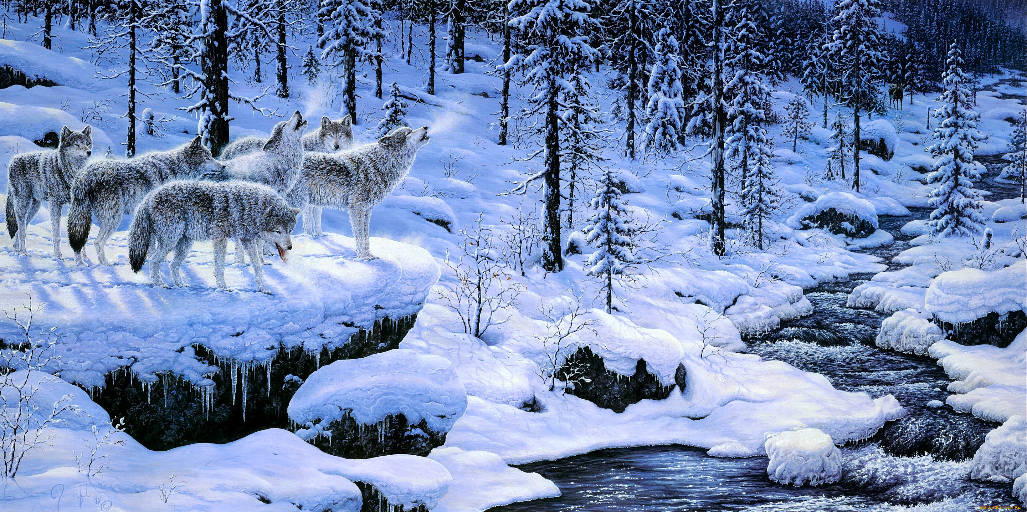 рисованное, животные, , волки, волки, стая, вой, лес, деревья, снег, зима, ручей