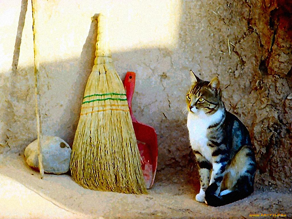 рисованные, животные, коты