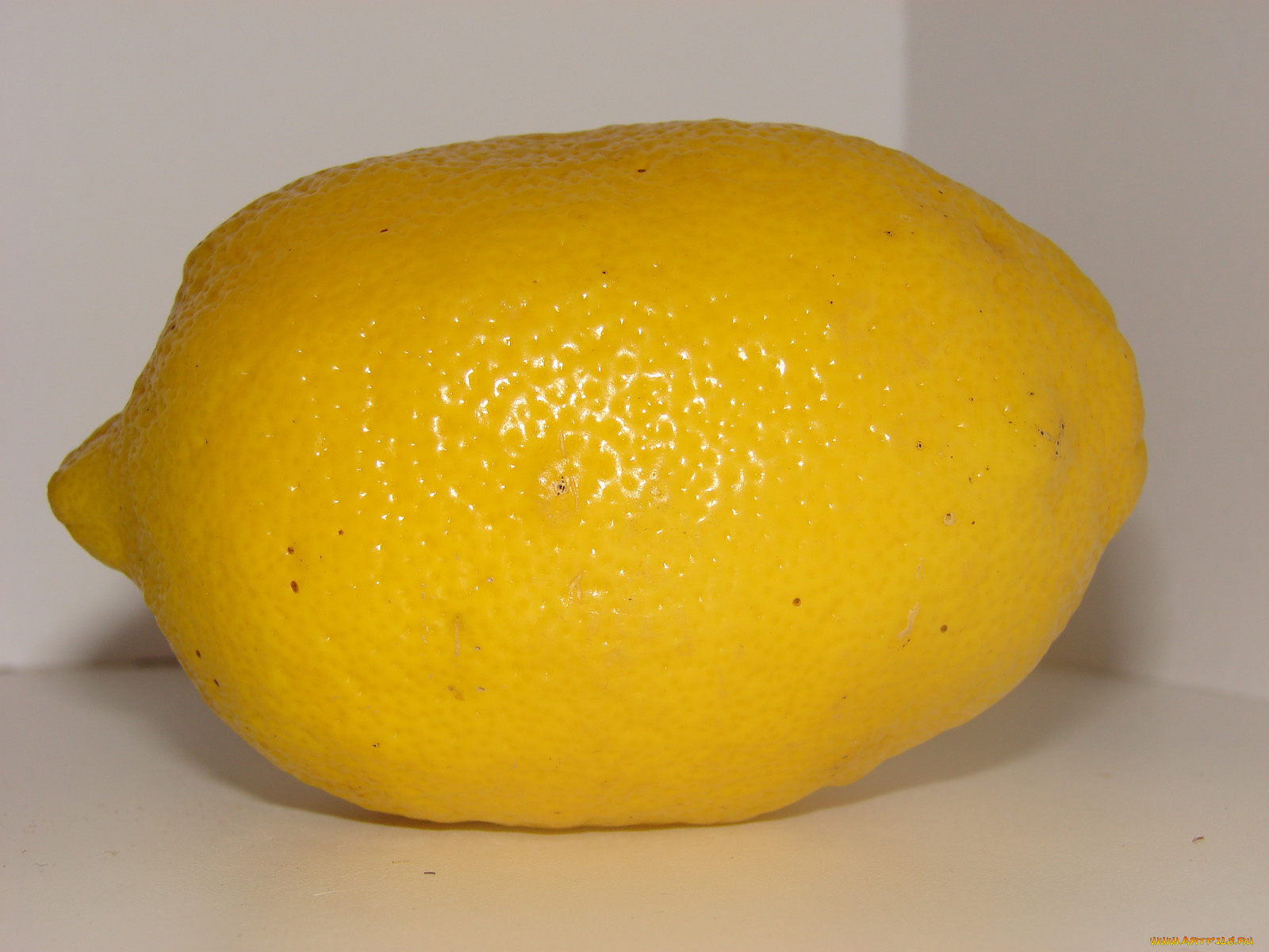 еда, цитрусы