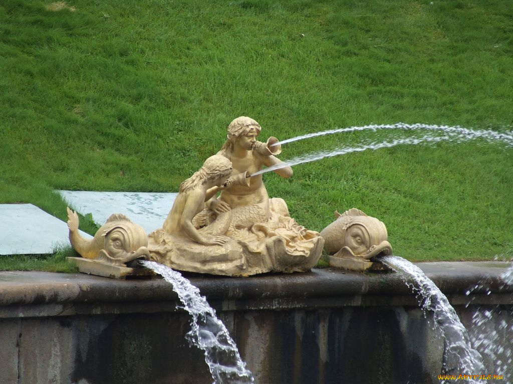 города, санкт, петербург, петергоф, россия