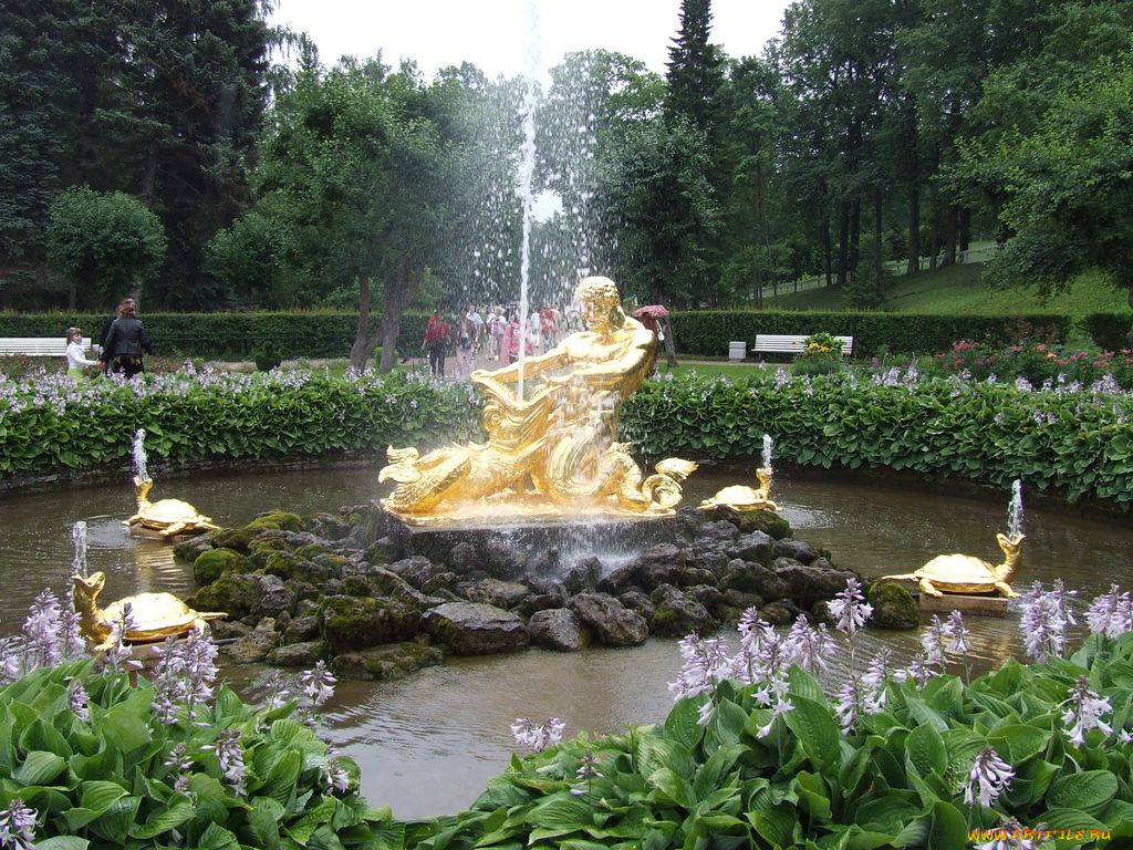 города, санкт, петербург, петергоф, россия