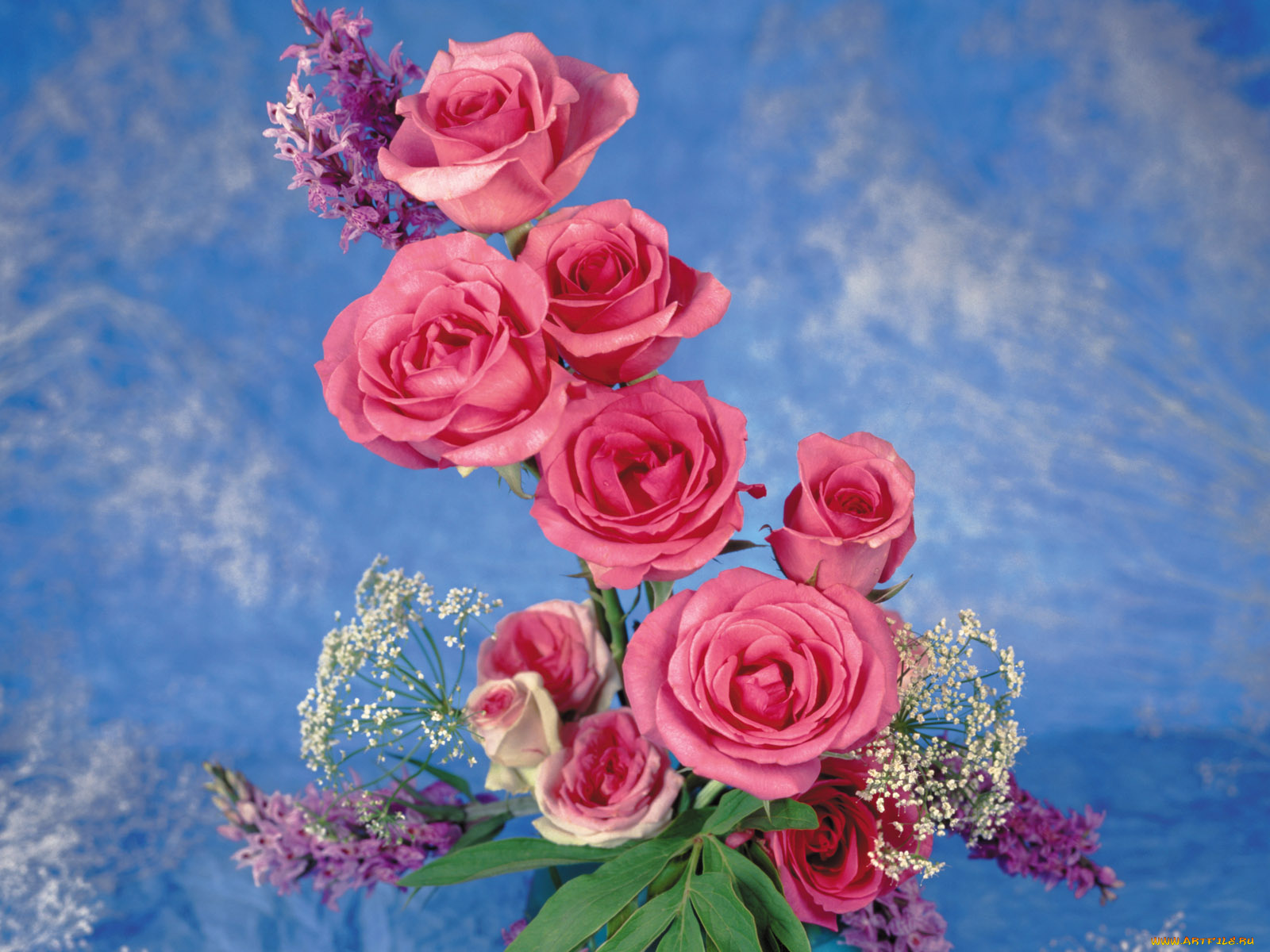 цветы, букеты, композиции